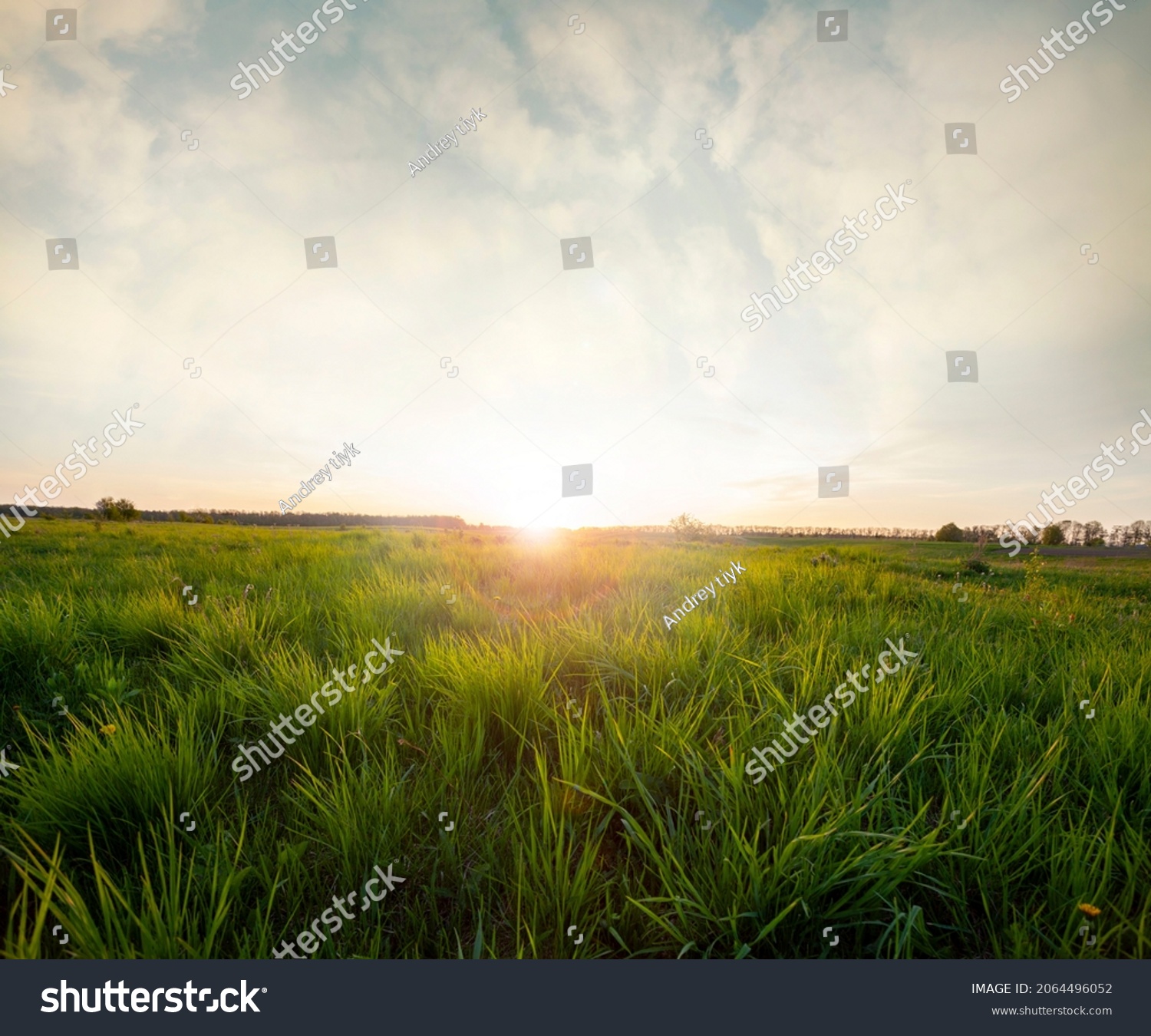 Landscape Green Grass Field Blue Sky Stock Photo 2064496052 | Shutterstock