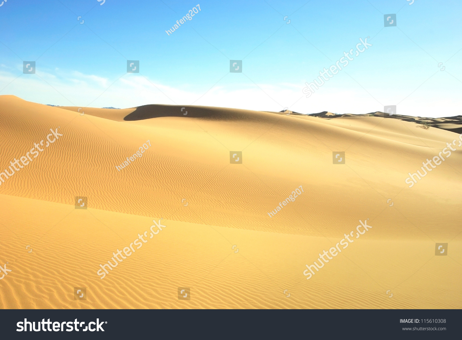 Libyan Desert. Dense Gold Dust, Dunes And Beautiful Sandy Structures In ...