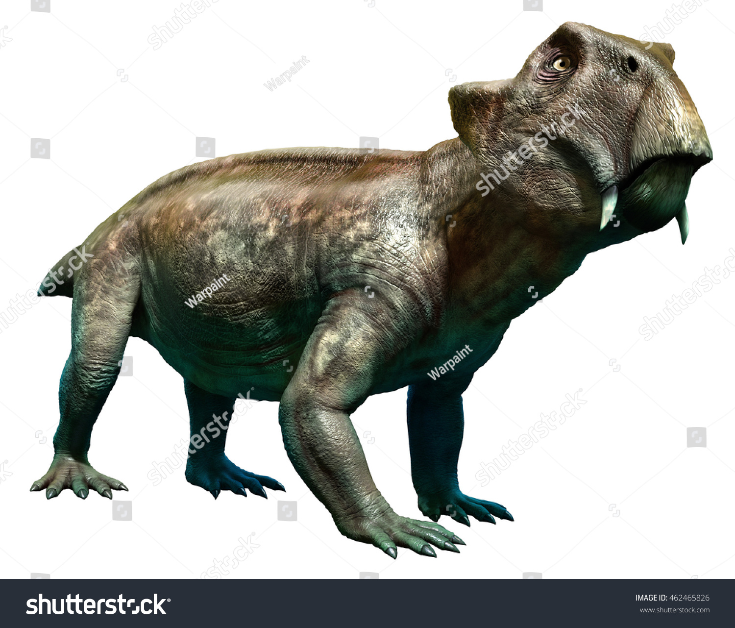 Lystrosaurus 3d Illustration - 462465826 : Shutterstock