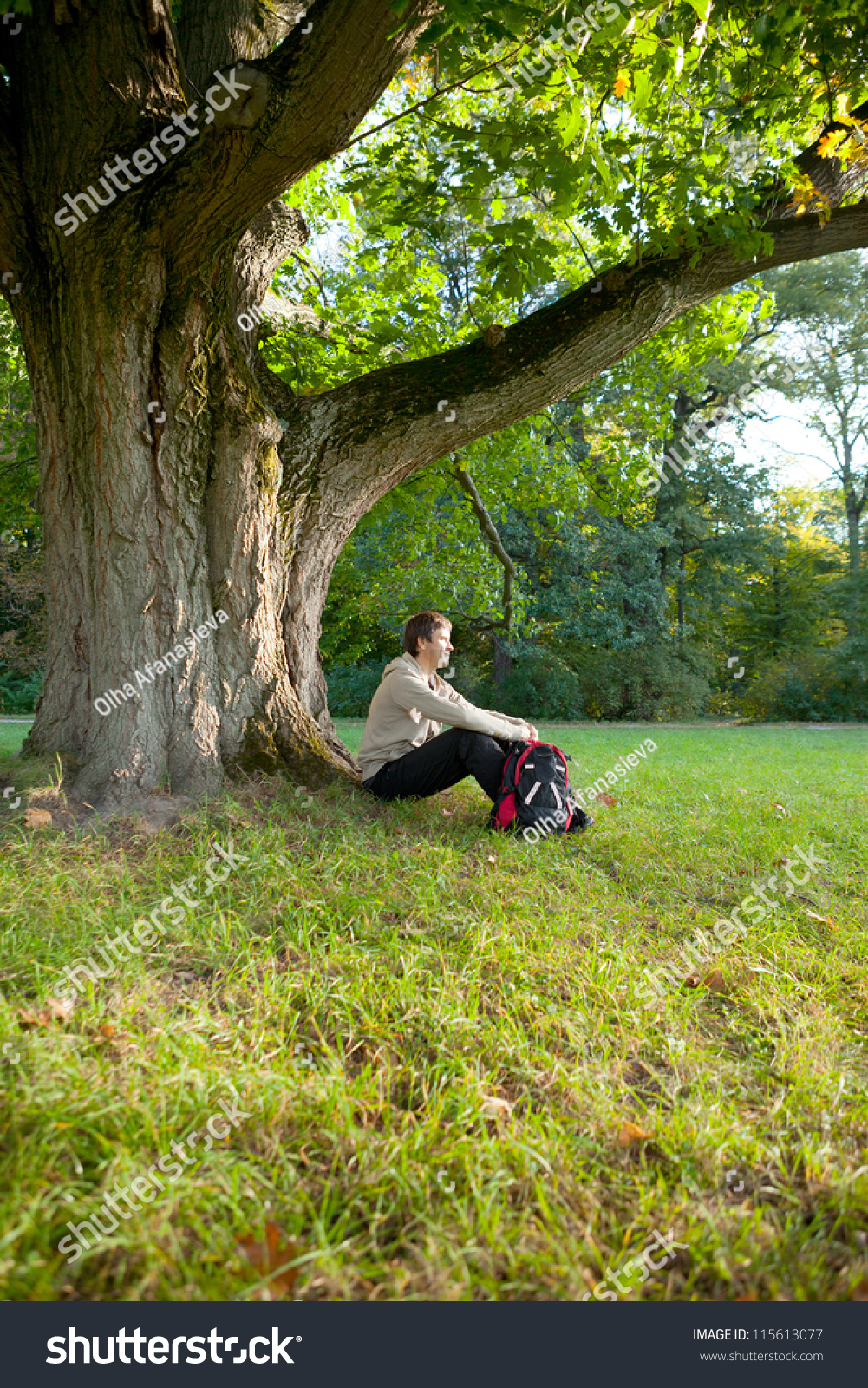 Man Sitting Resting Under Large Old Stock Photo 115613077 - Shutterstock