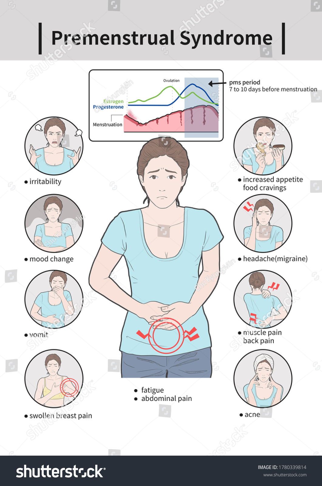 Medical Illustration Premenstrual Syndrome: ภาพประกอบสต็อก 1780339814