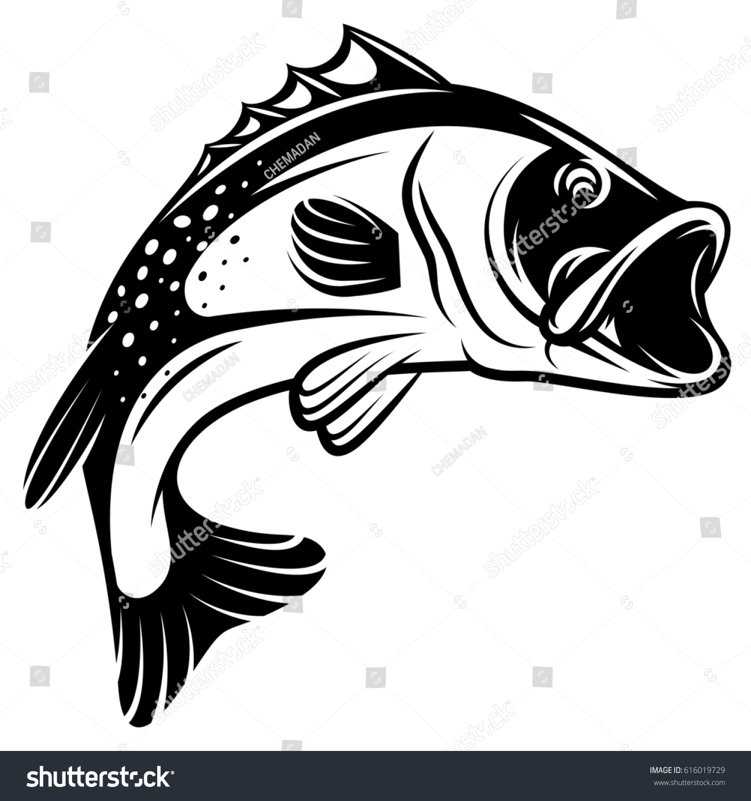 Monochrome Illustration Bass Fins Tail Open Stock Illustration ...