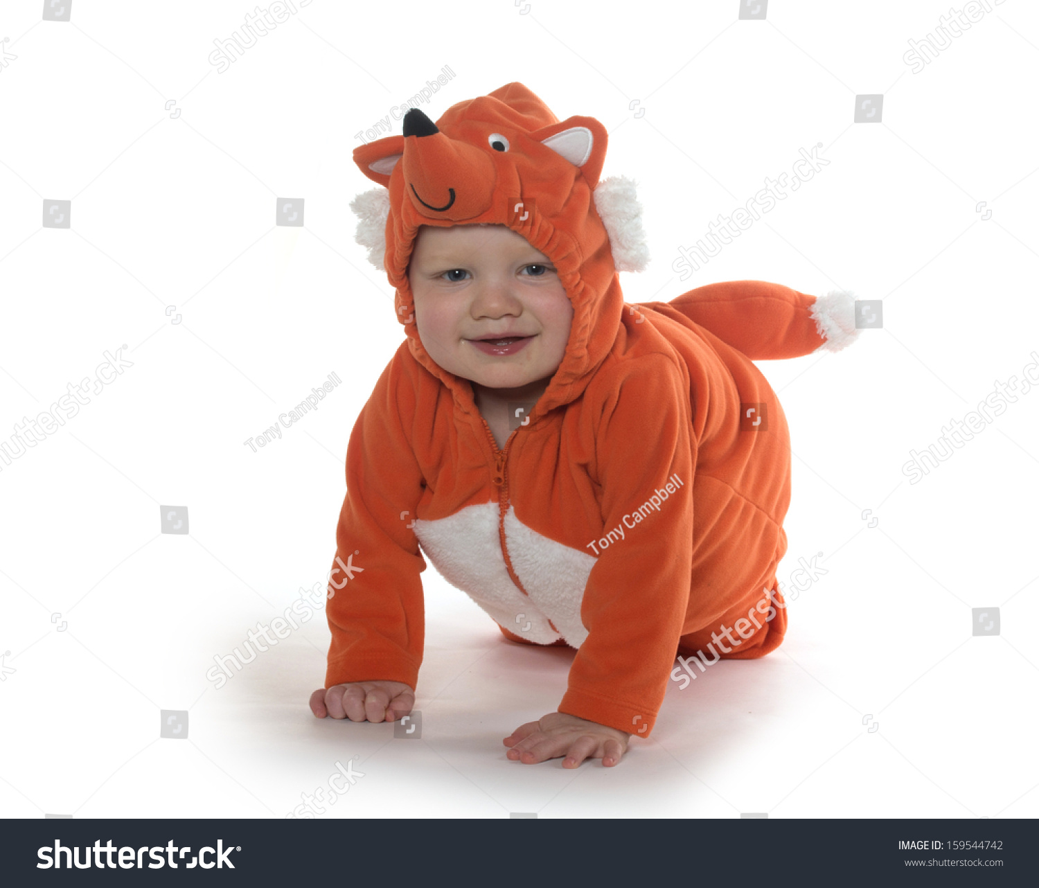 baby boy fox costume