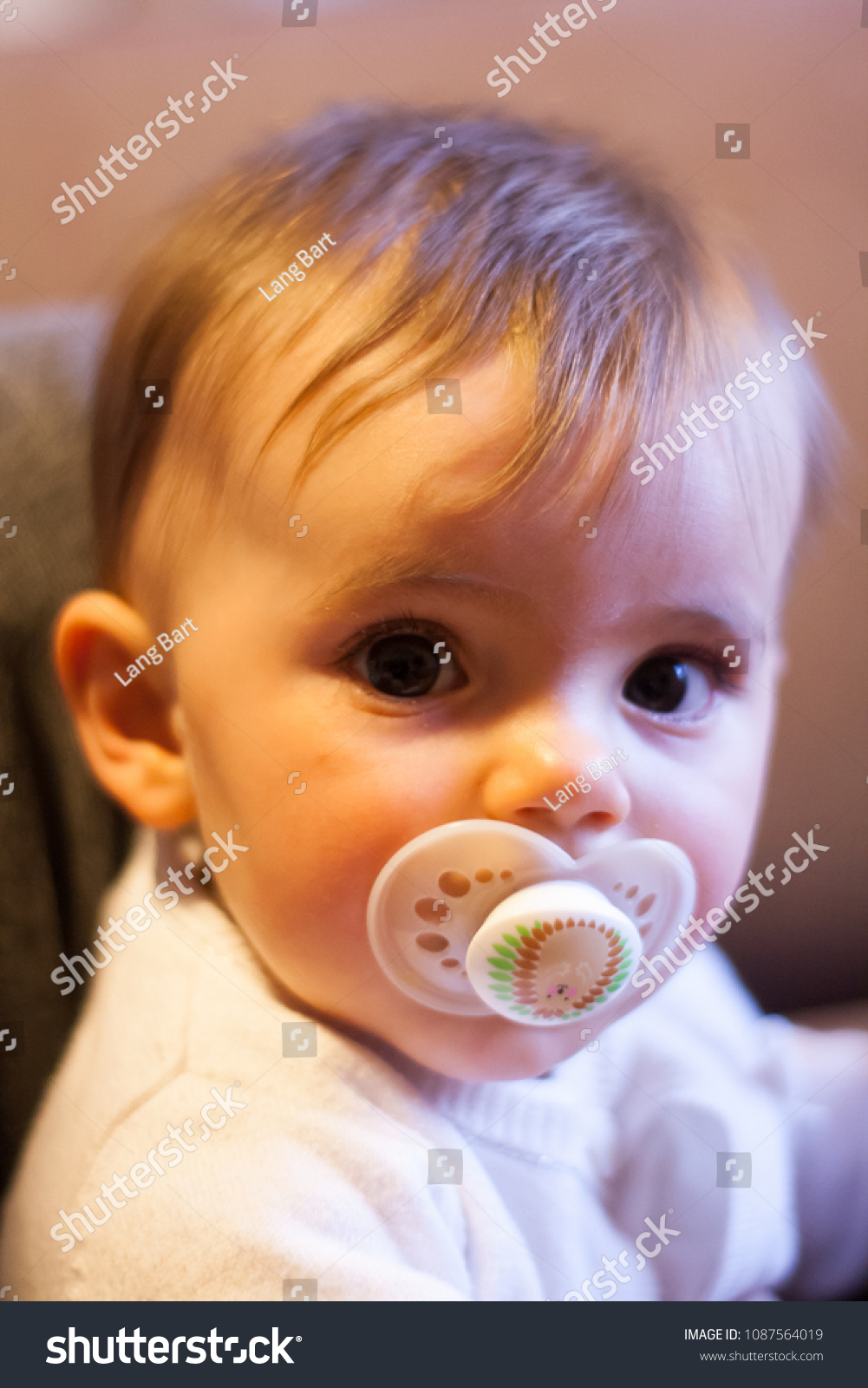 12 month pacifier