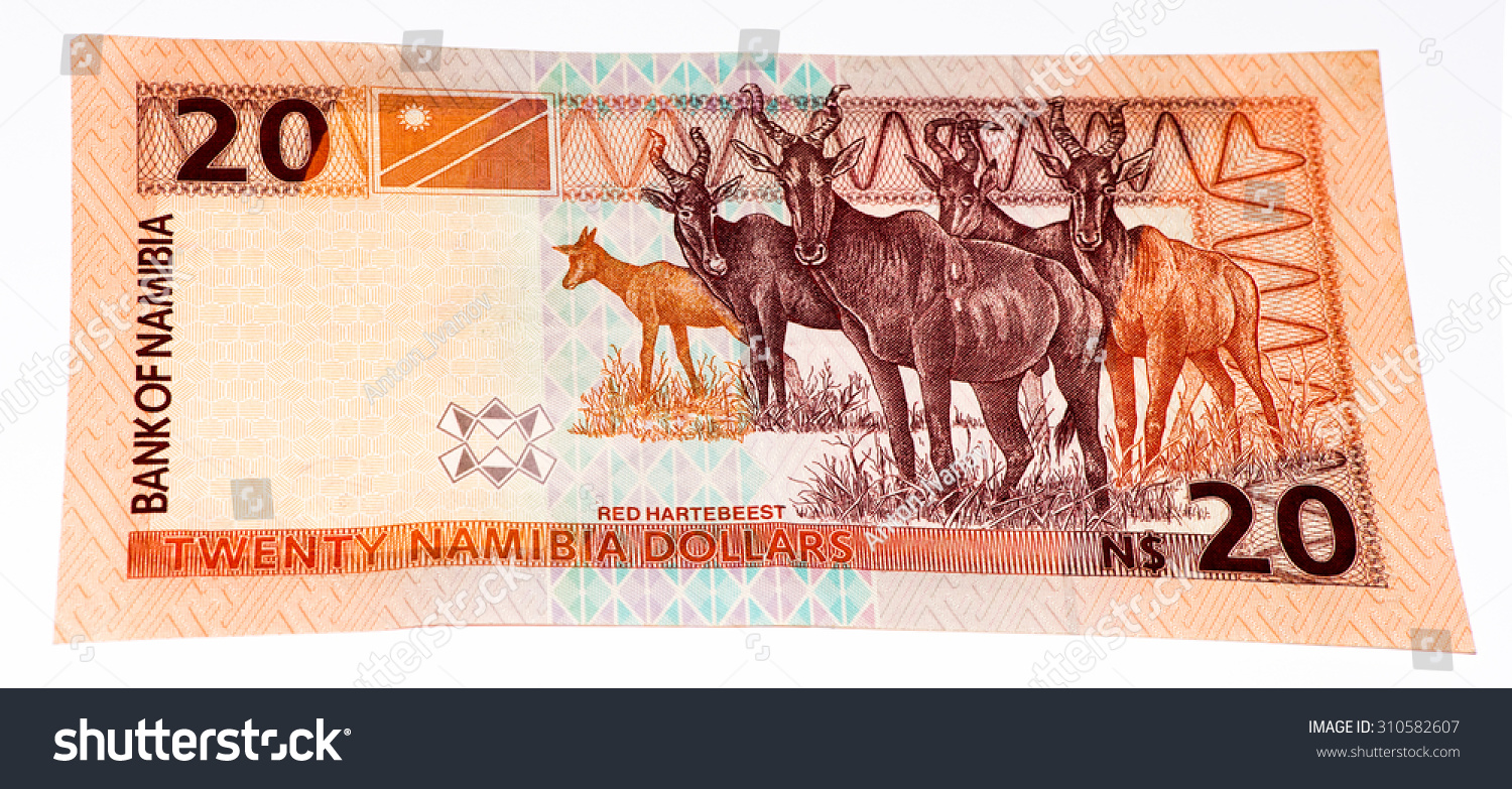 20 Namibian Dollars Bank Note Namibia Stock Photo 310582607 | Shutterstock