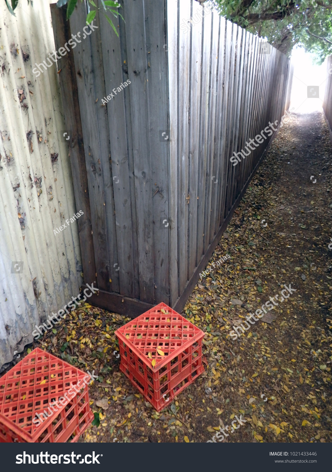 Download 2 Orange Plastic Milk Crates On Buildings Landmarks Stock Image 1021433446 PSD Mockup Templates