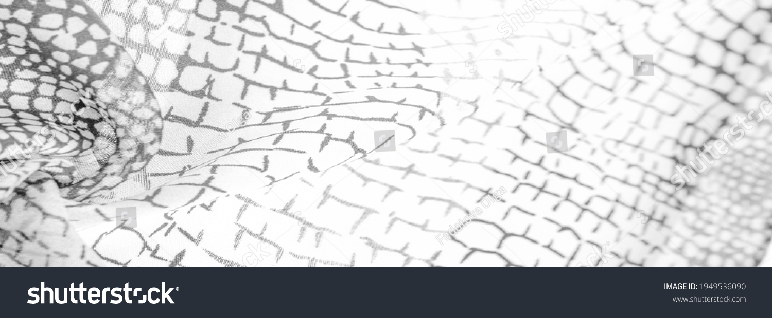 Python Skin Silk Fabric White Black Stock Photo 1949536090 | Shutterstock
