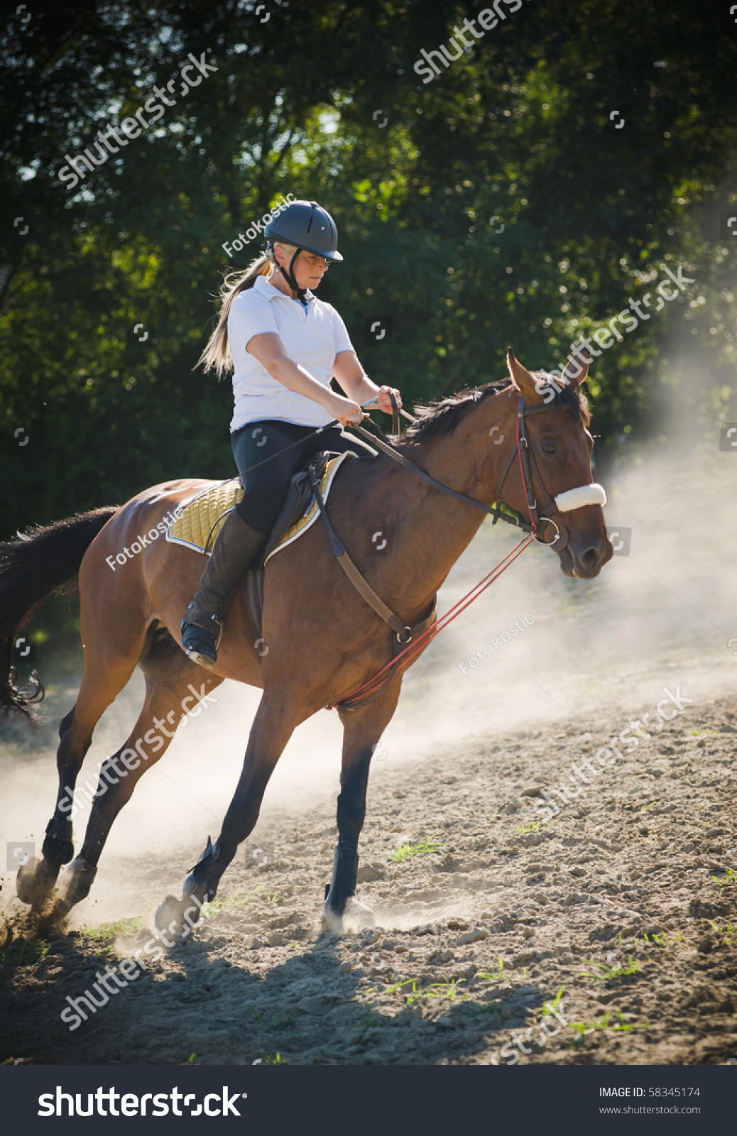 Show Jumpinggirl Riding Horse Jumping Stock Photo (Edit Now) 58345174 ...