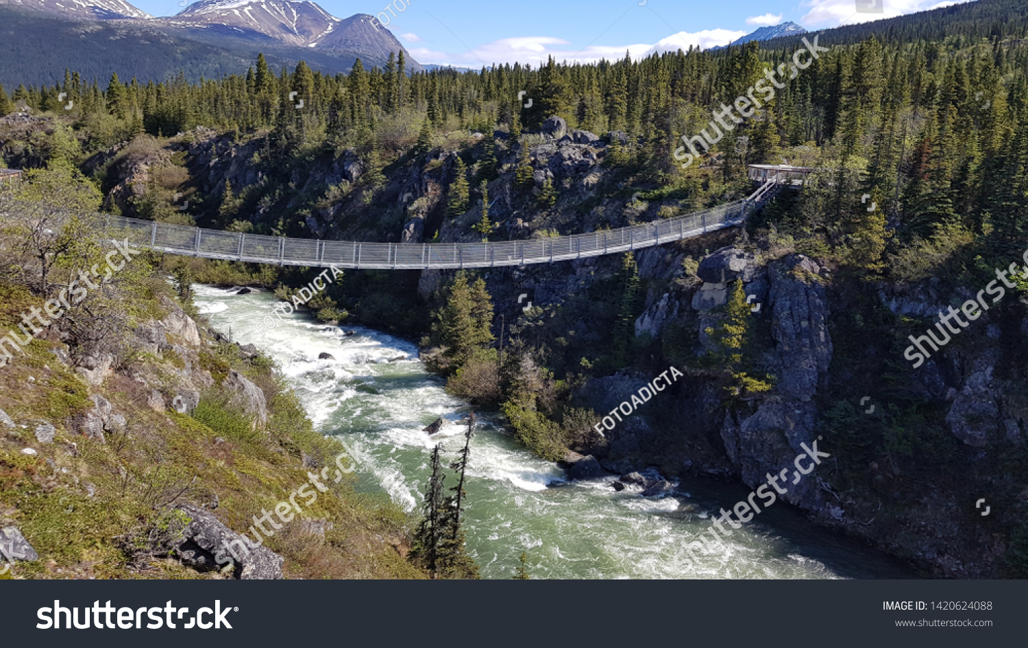 Yukon suspension bridge Images, Stock Photos & Vectors | Shutterstock