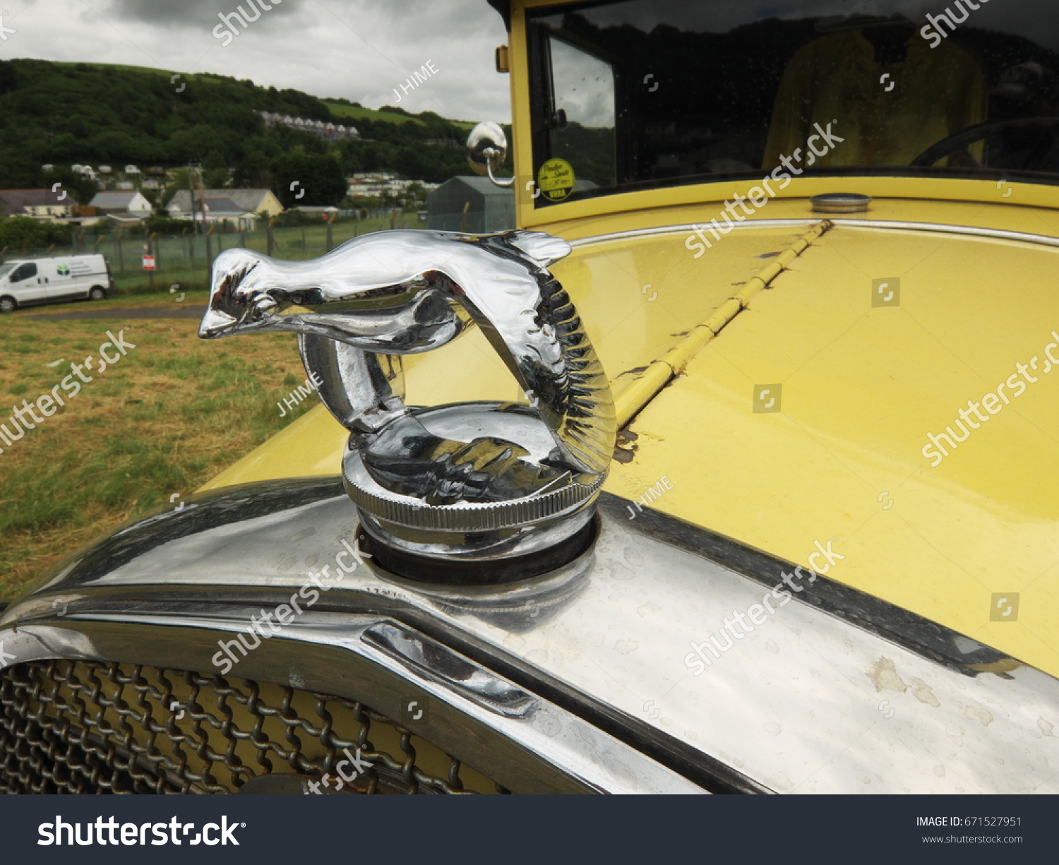 bird radiator cap