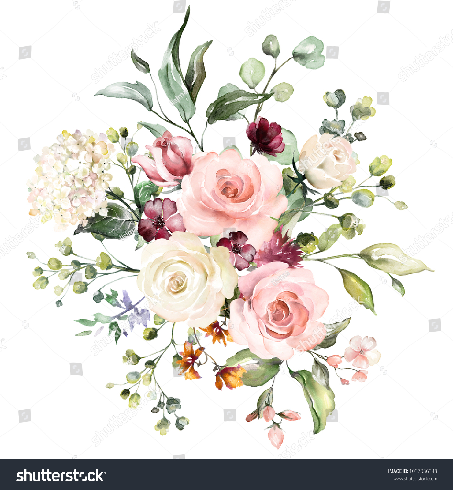 Watercolor Flowers Floral Illustration Leaf Buds Stock Illustration ...