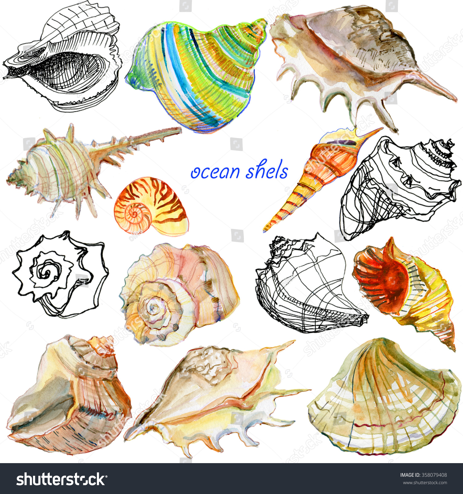 Watercolor Sea Shells Summer Holidays Design Stock Illustration ...