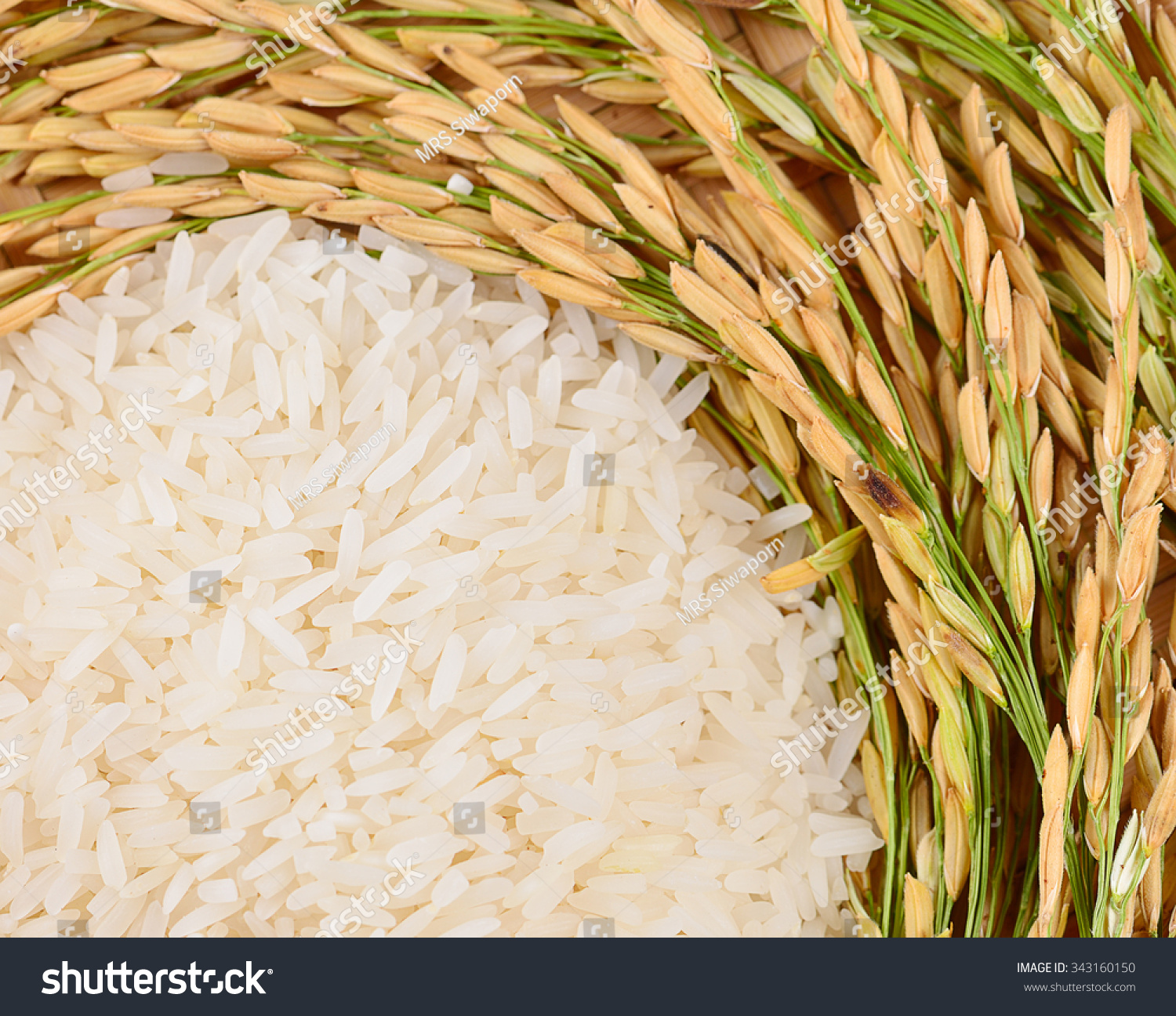 White Rice On The Wooden Plate And Rice Plant , Uncooked Raw Cereals ...