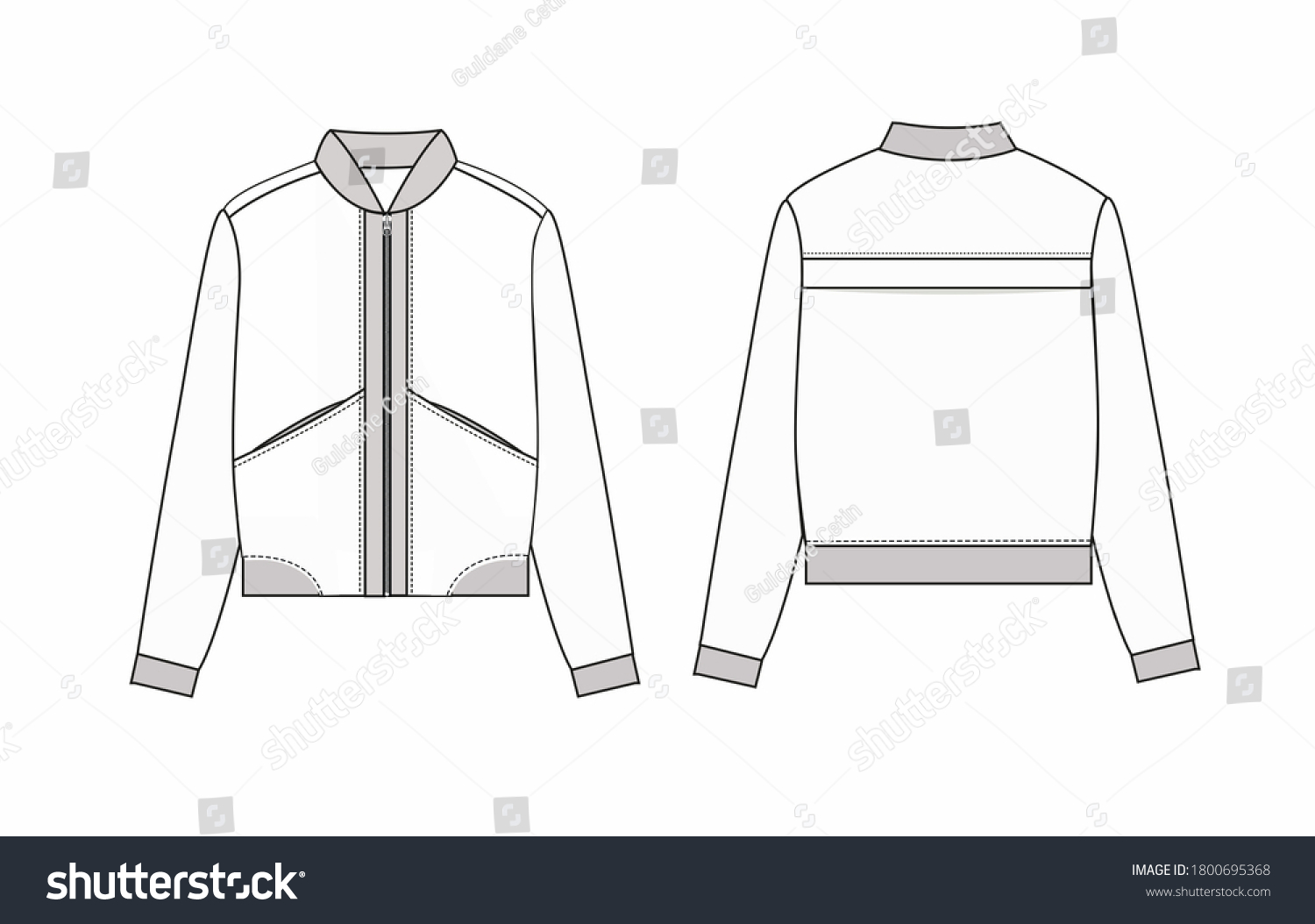 Womens Fashion Design Drawings Jacket Sketches Stock Illustration