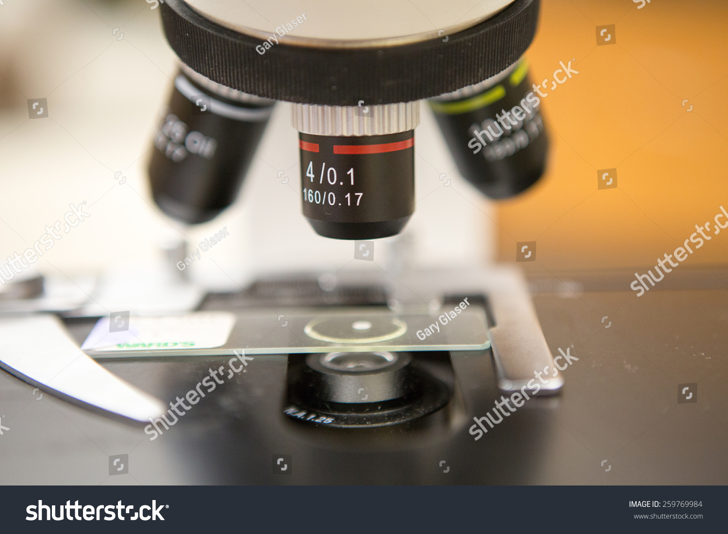 9x Scanning Power Objective Microscope Above Stock Photo 259769989 ...