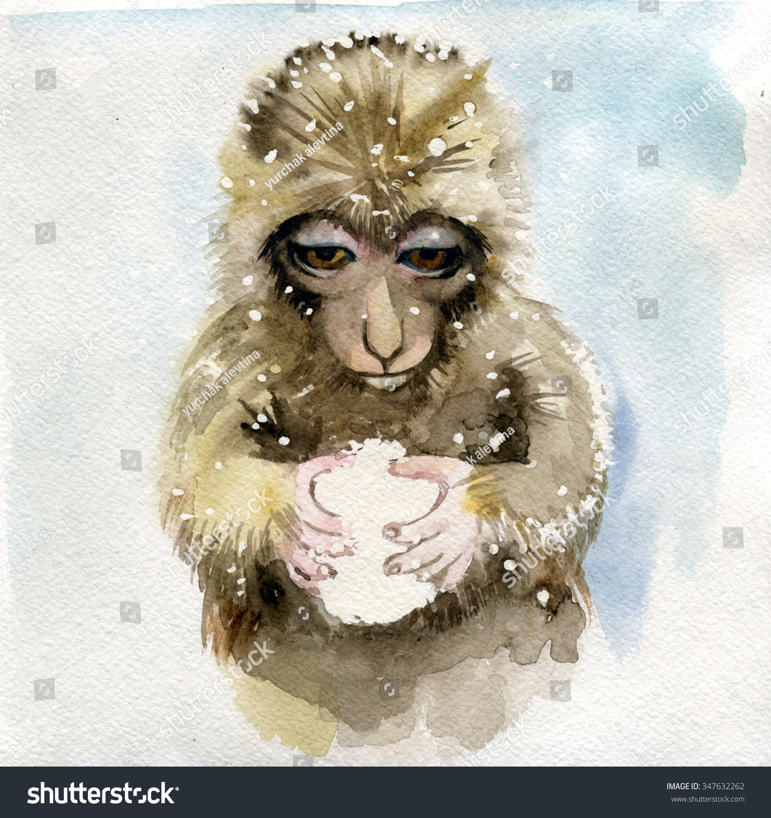 2016 year monkey - what color will the monkey, the symbol of 2016 year 2016 year monkey - what color will the monkey, the symbol of 2016 year