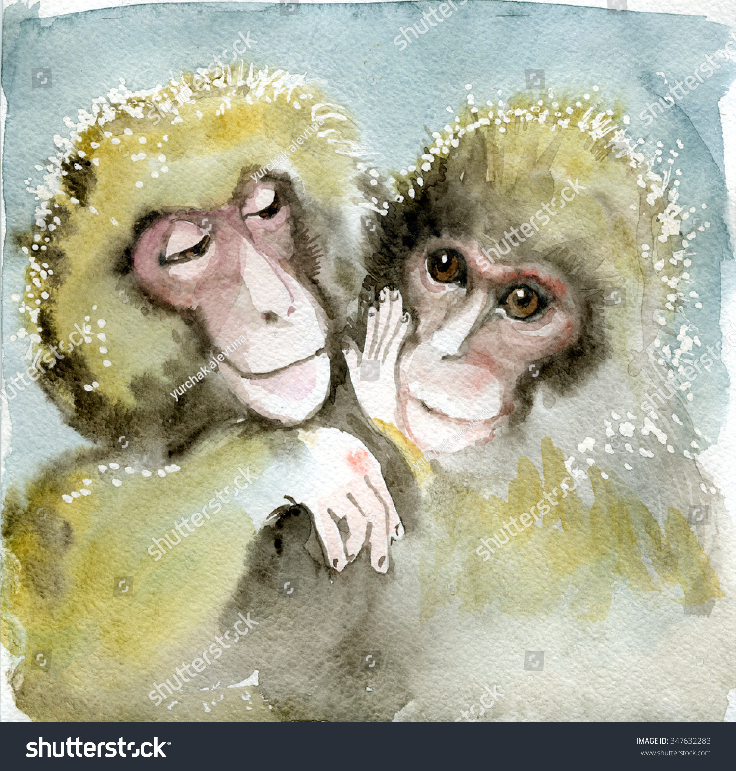 2016 year monkey - what color will the monkey, the symbol of 2016 year 2016 year monkey - what color will the monkey, the symbol of 2016 year