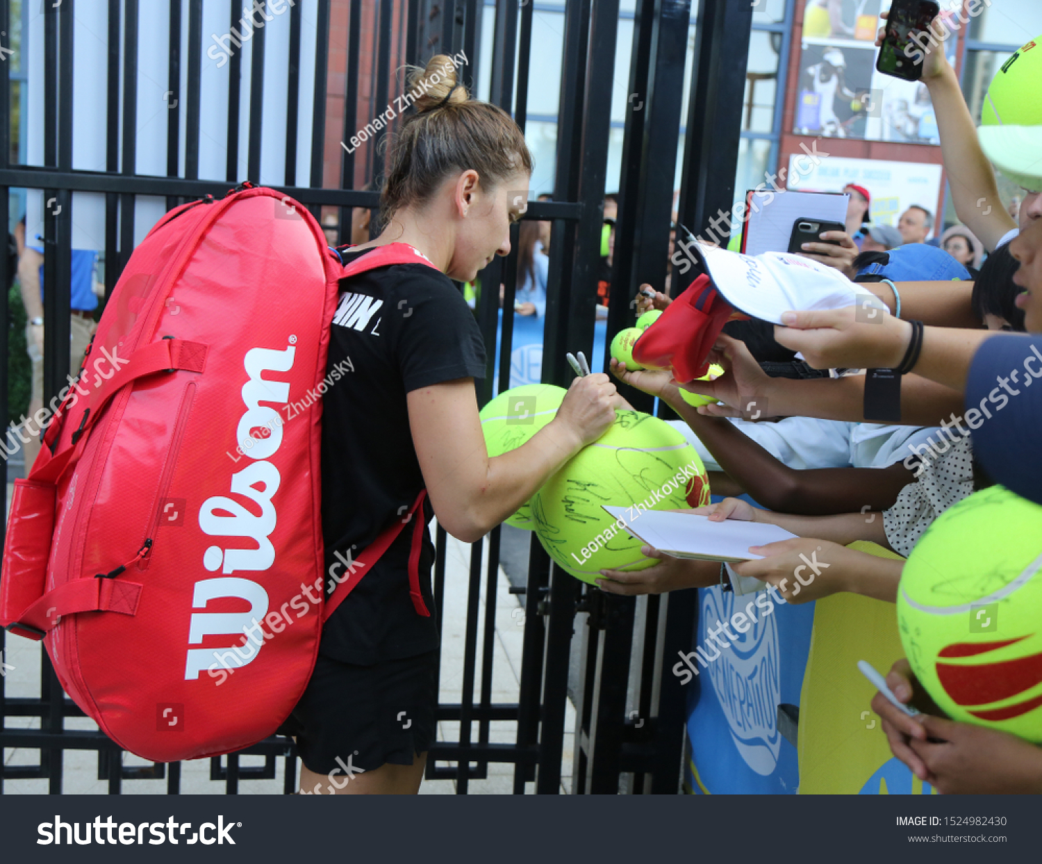 simona halep world Senior