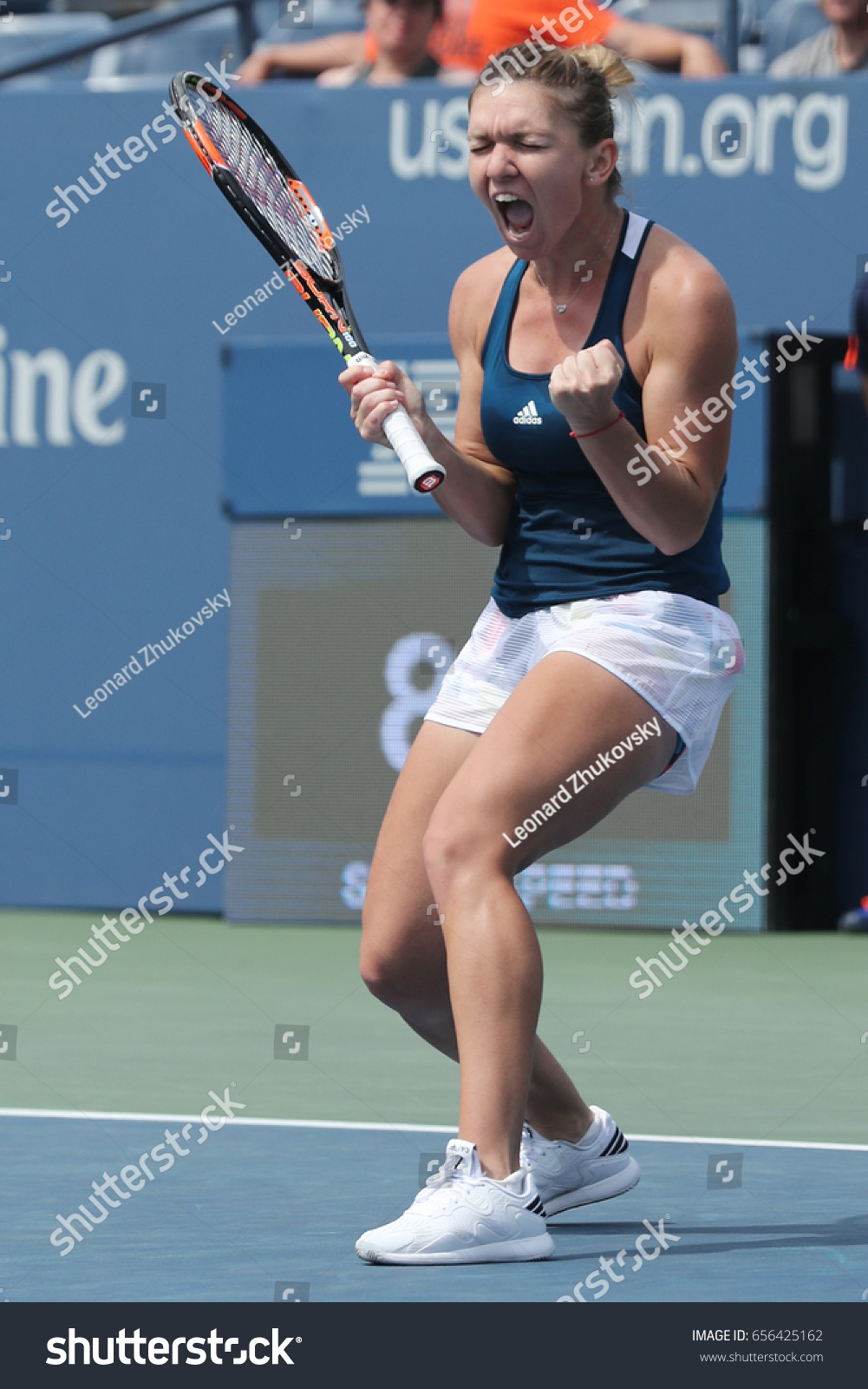 simona halep world Senior