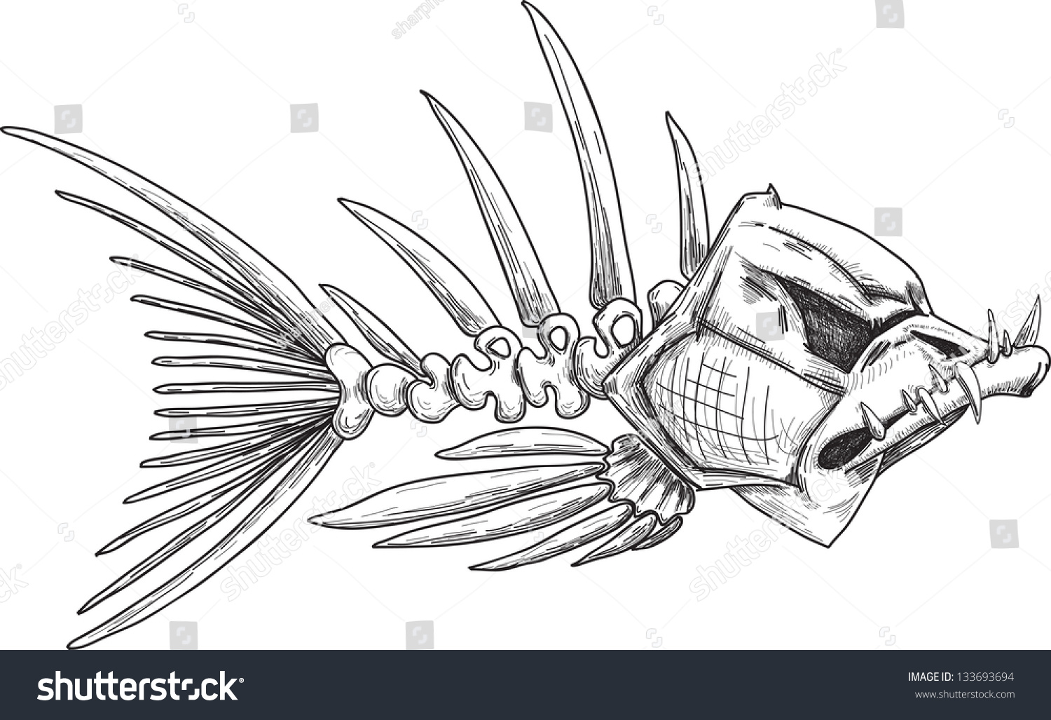 素描邪恶的鱼骨架与锋利弯曲的牙齿-动物\/野生