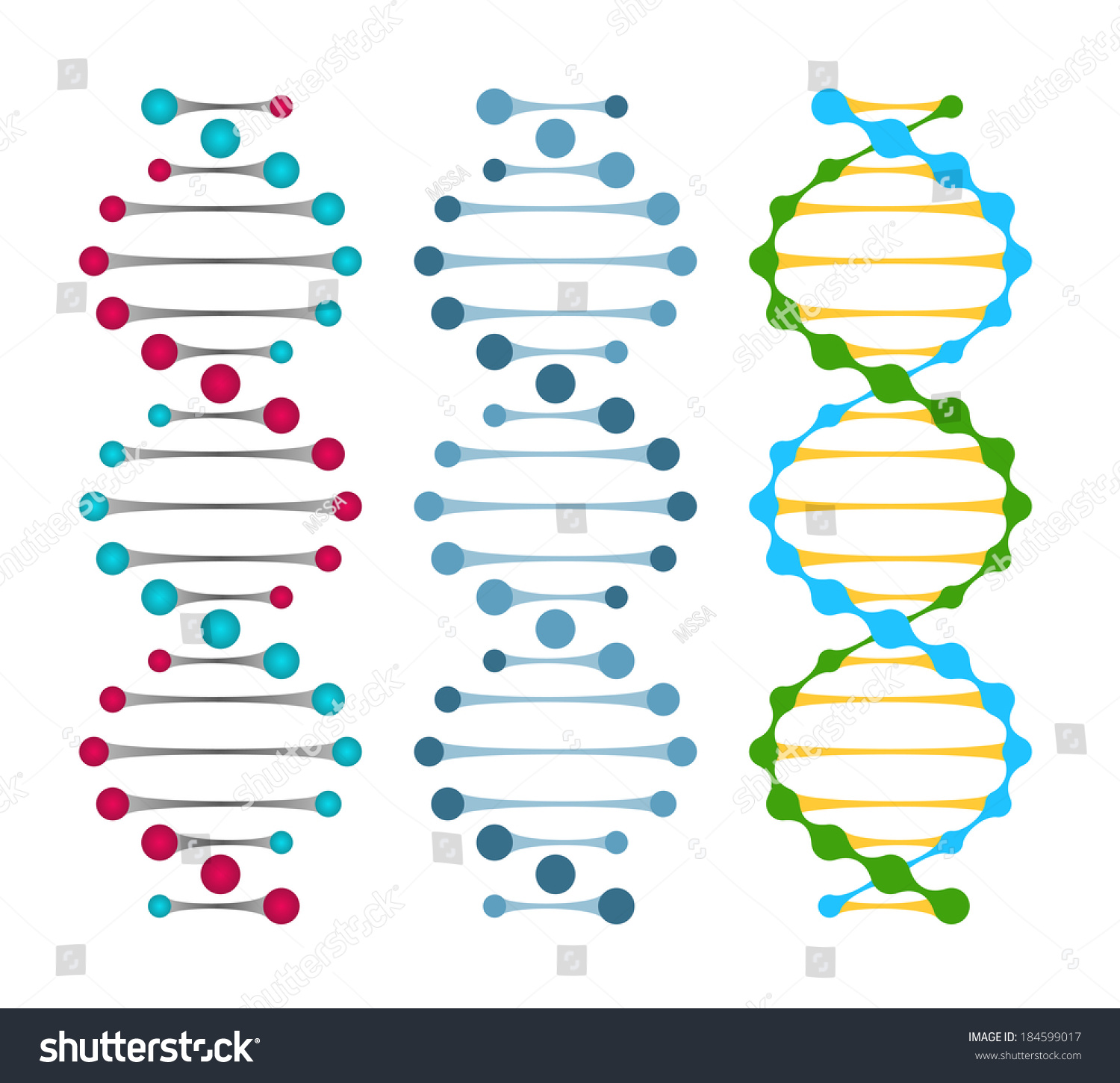 三个变量的双链DNA分子双螺旋结构中的核苷