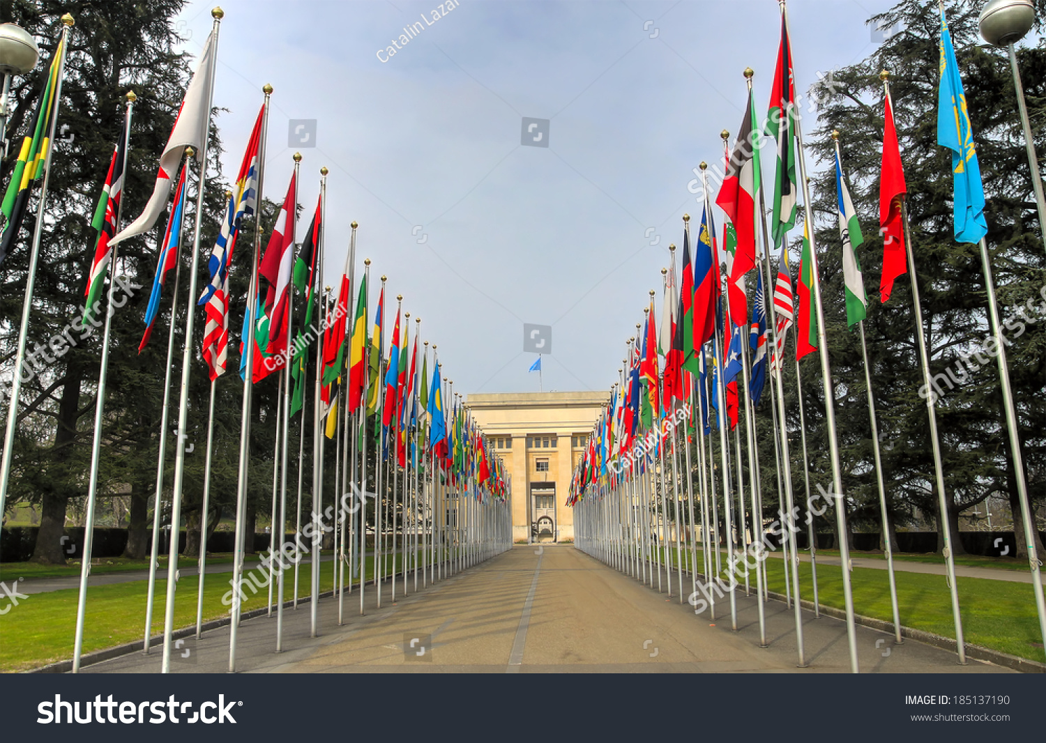 联合国与世界所有国家的国旗建筑入口两侧宽在