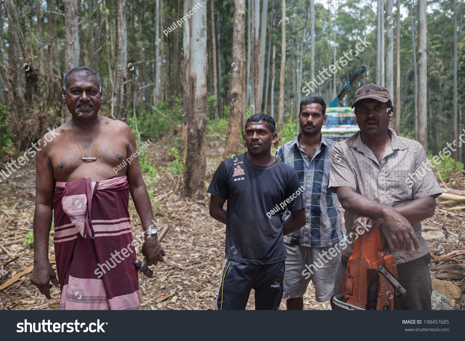 艾拉,斯里兰卡- 3月2日,2014:群木材产业工人摆