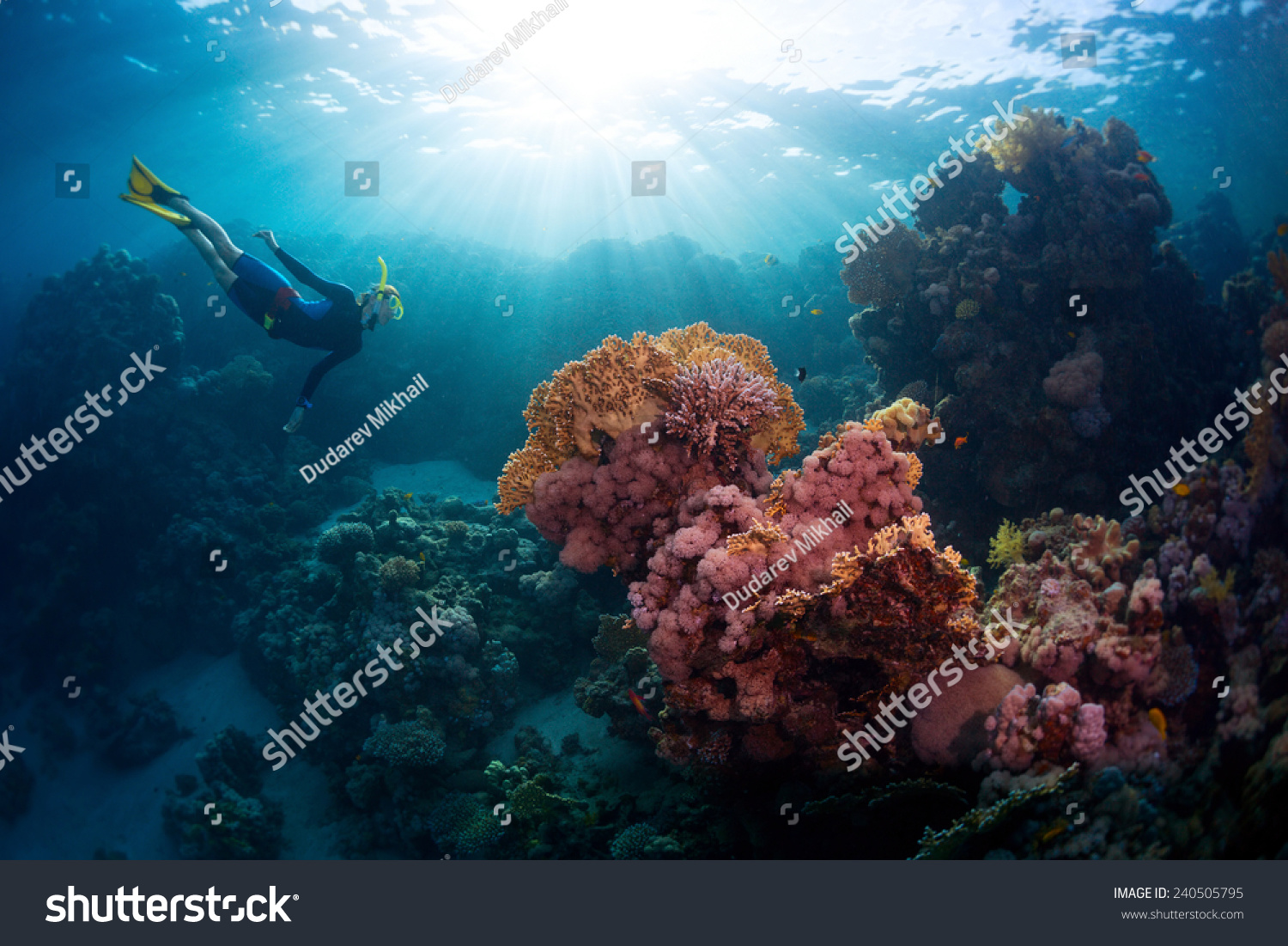stock-photo-240505795.jpg