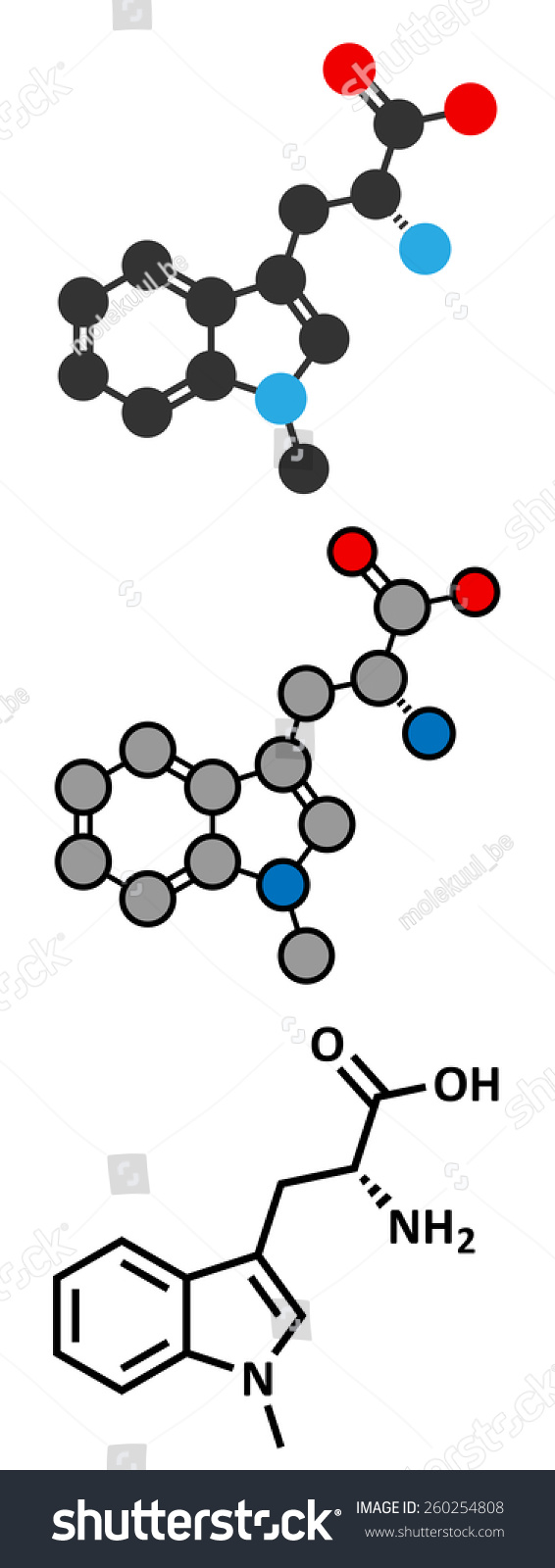 Indoximod抗癌药物分子(被罩或吲哚胺2,3-diox