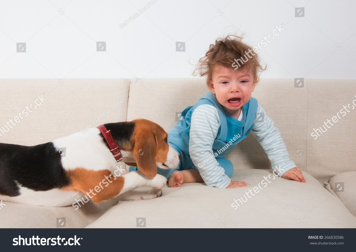 1岁的宝宝男孩在哭,因为他的宠物想玩。-动物
