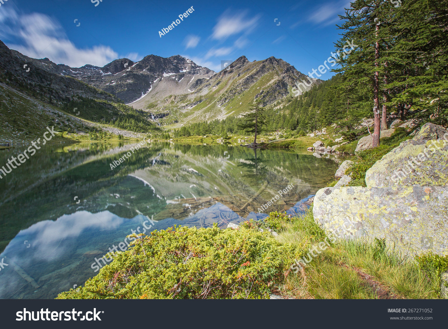 Arpy湖。在前台Juniperus娜娜。意大利阿尔卑