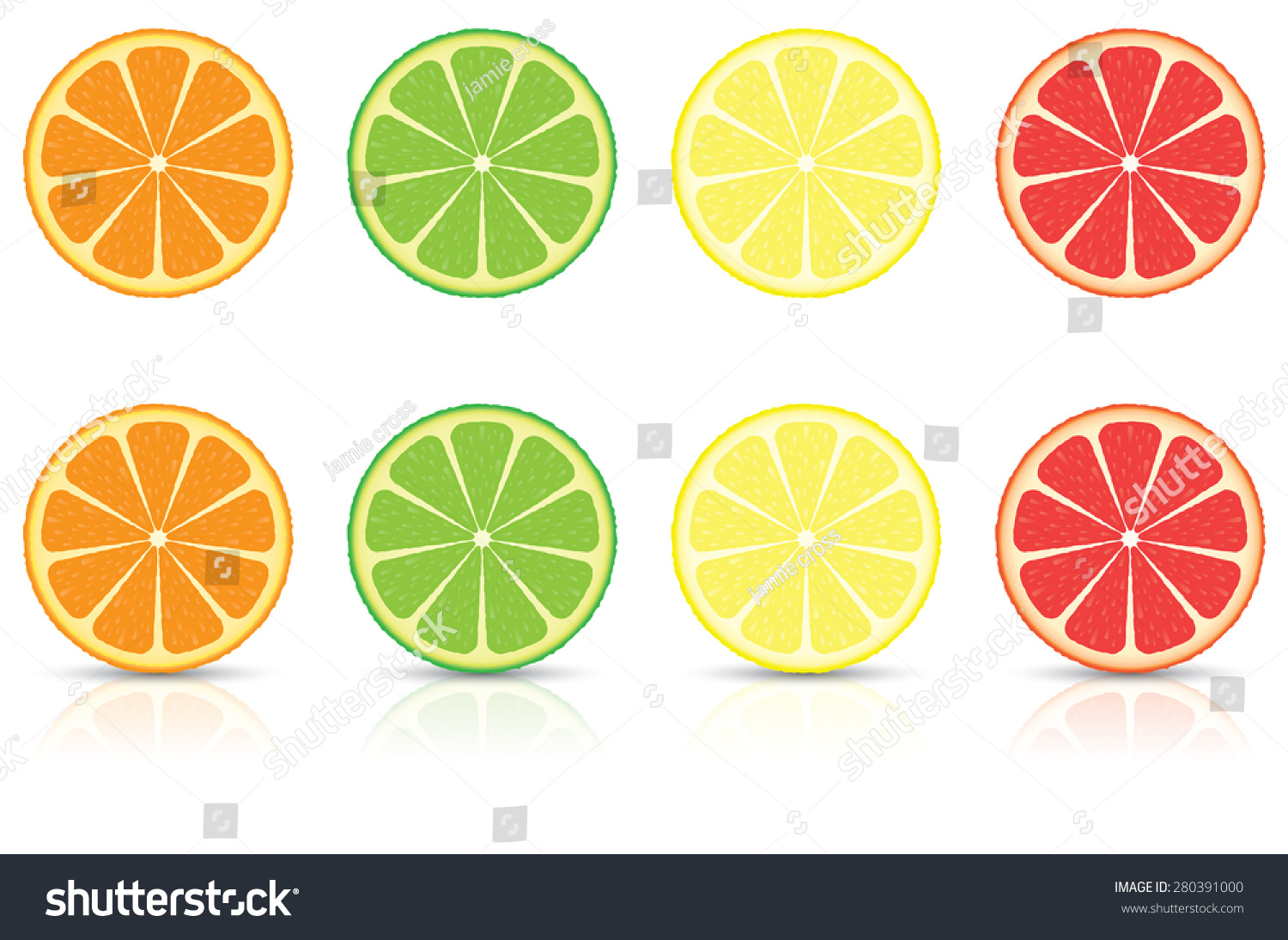 橙、柠檬、酸橙和葡萄柚柑橘类的水果片 - 食品
