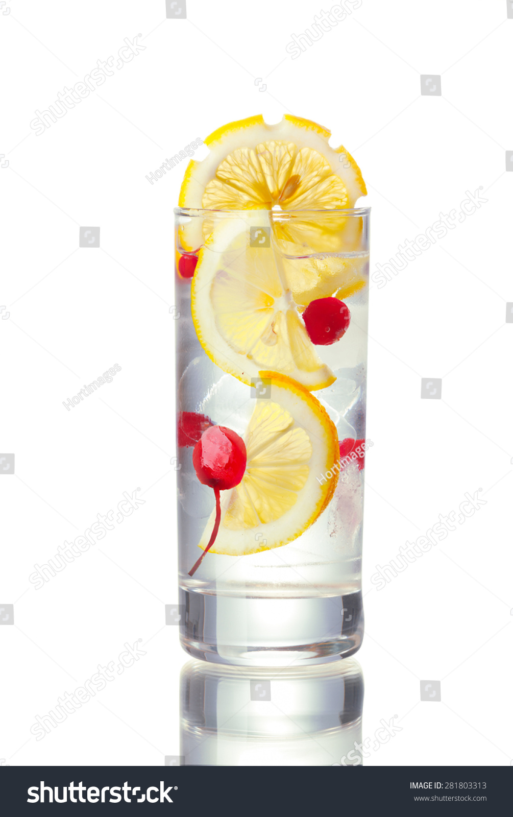 约翰·柯林斯酒精的鸡尾酒杯用柠檬片装饰。I