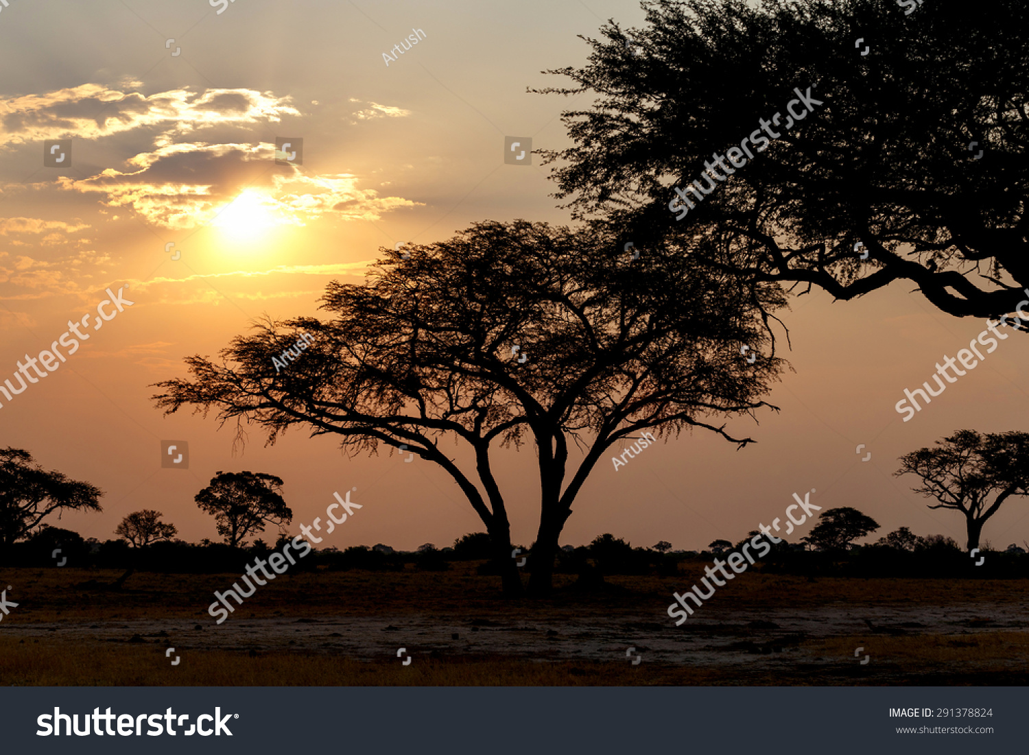 非洲日落万基国家公园,北马塔贝莱兰(津巴布韦