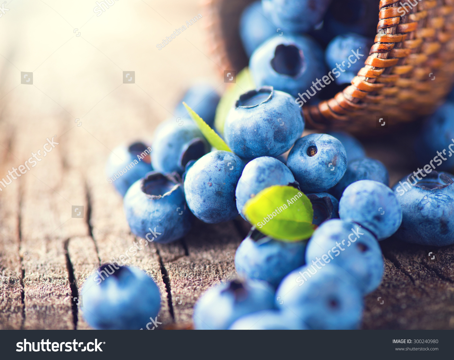 蓝莓创意名字（以蓝莓为主题的名字）