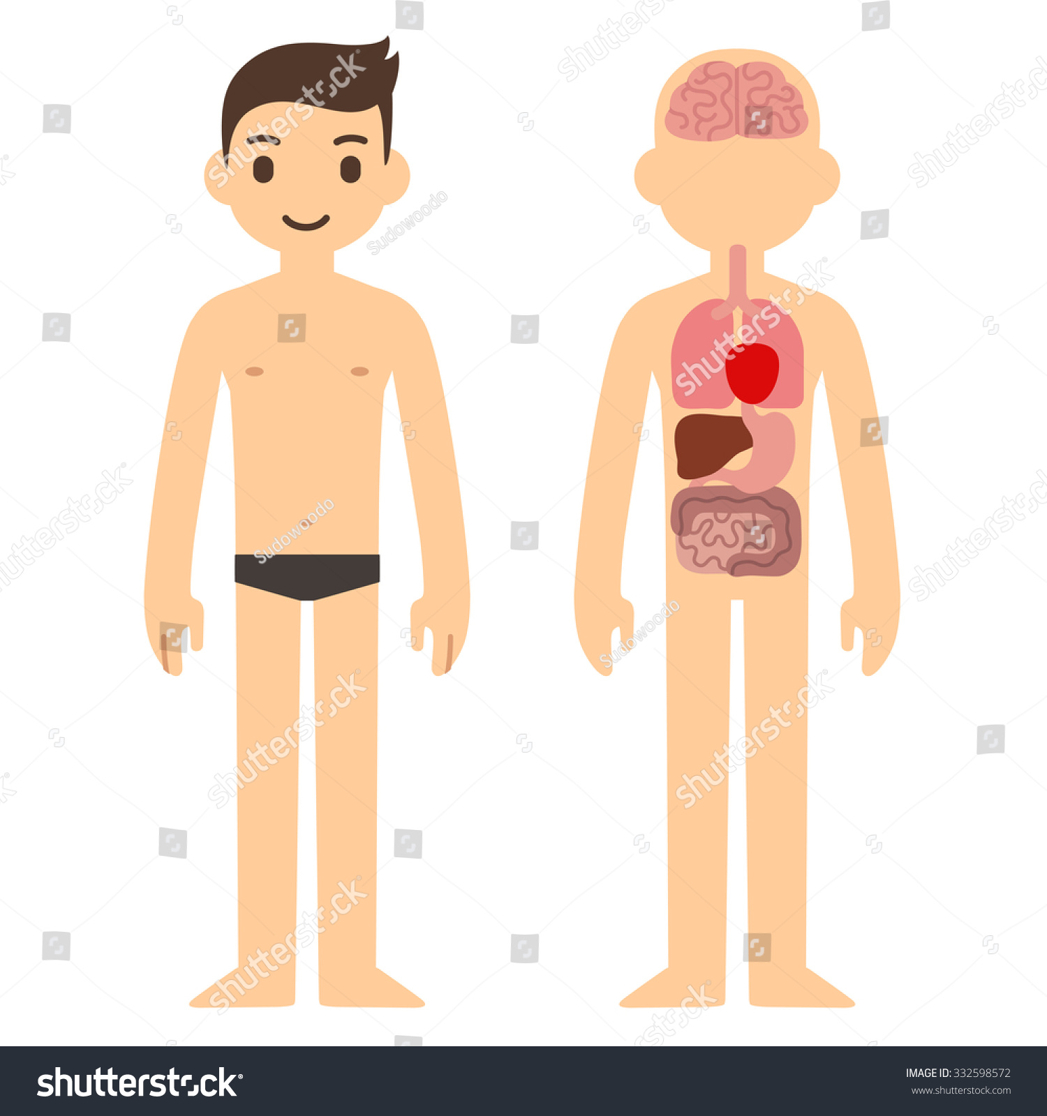 人体内脏器官信息图表的一个程式化的卡通的人
