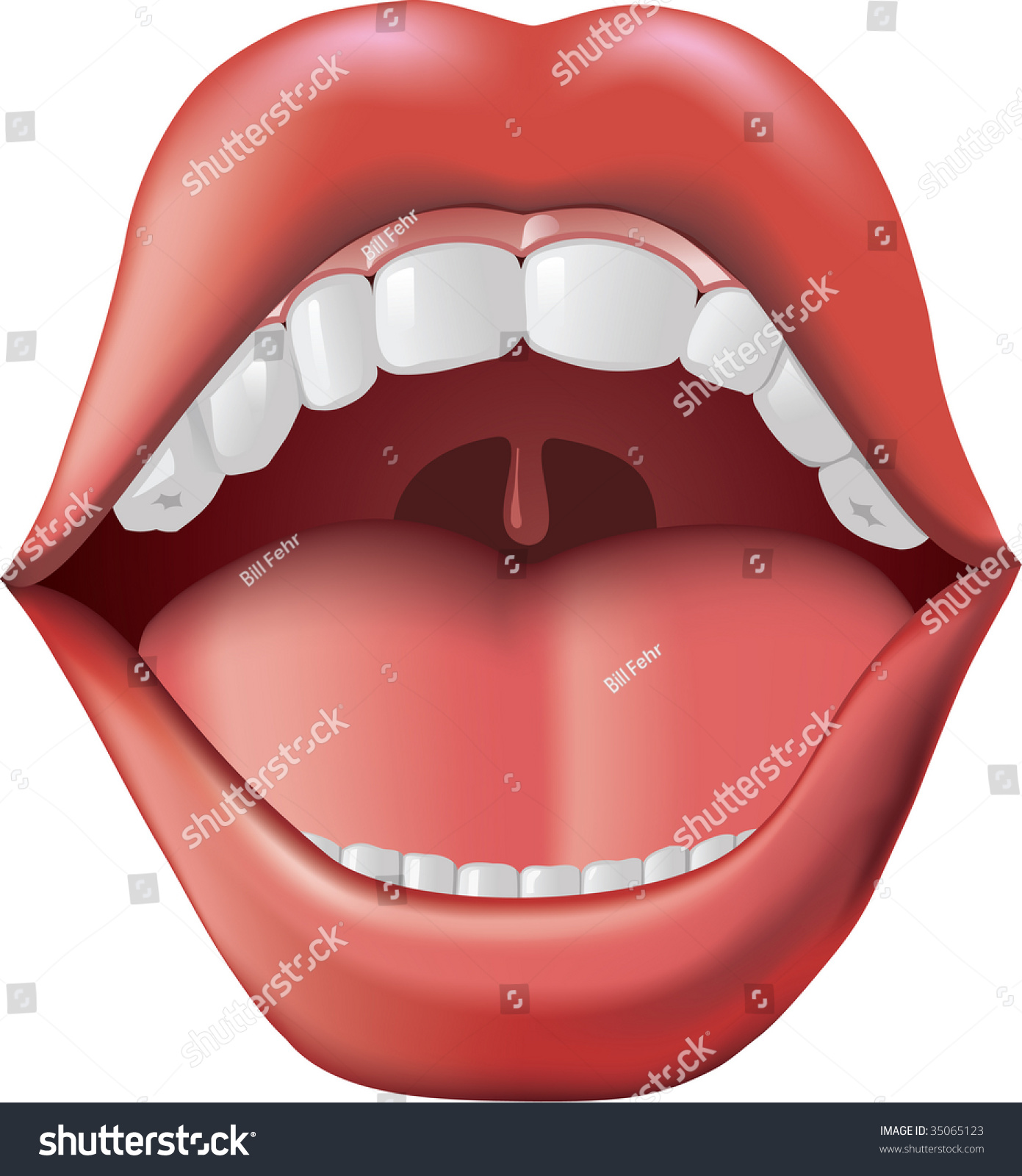 开嘴和舌头和牙齿。Adobe Illustrator渐变网格工