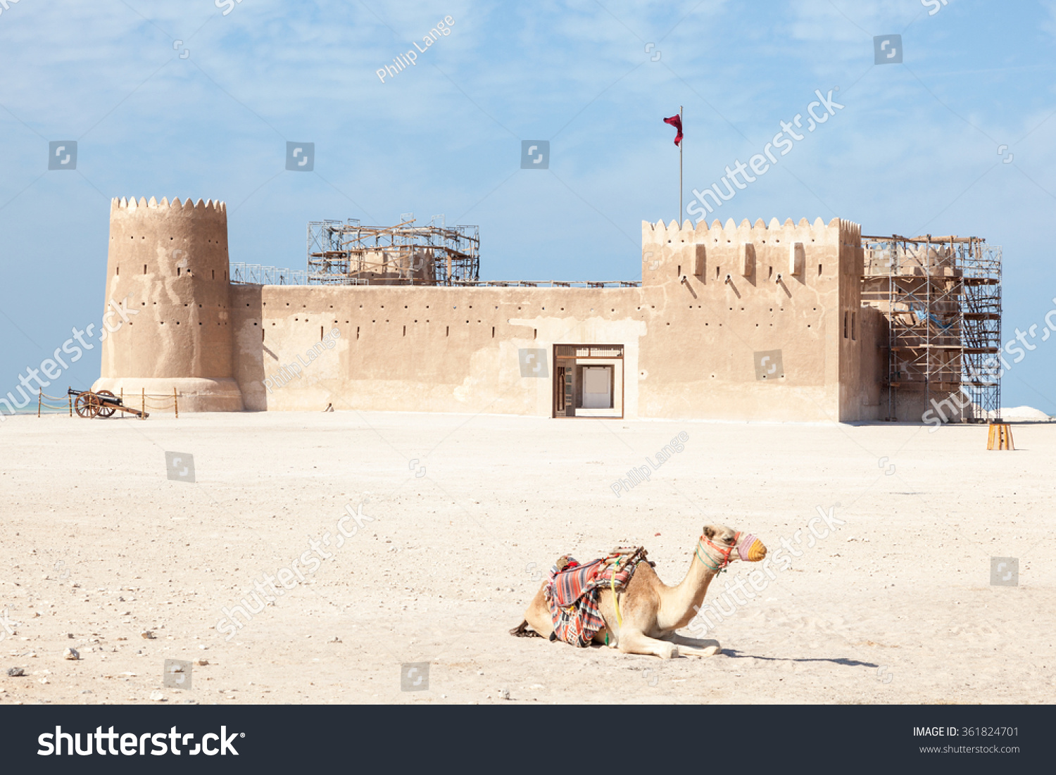 骆驼在历史面前Zubarah堡(Al Zubara)在卡塔尔