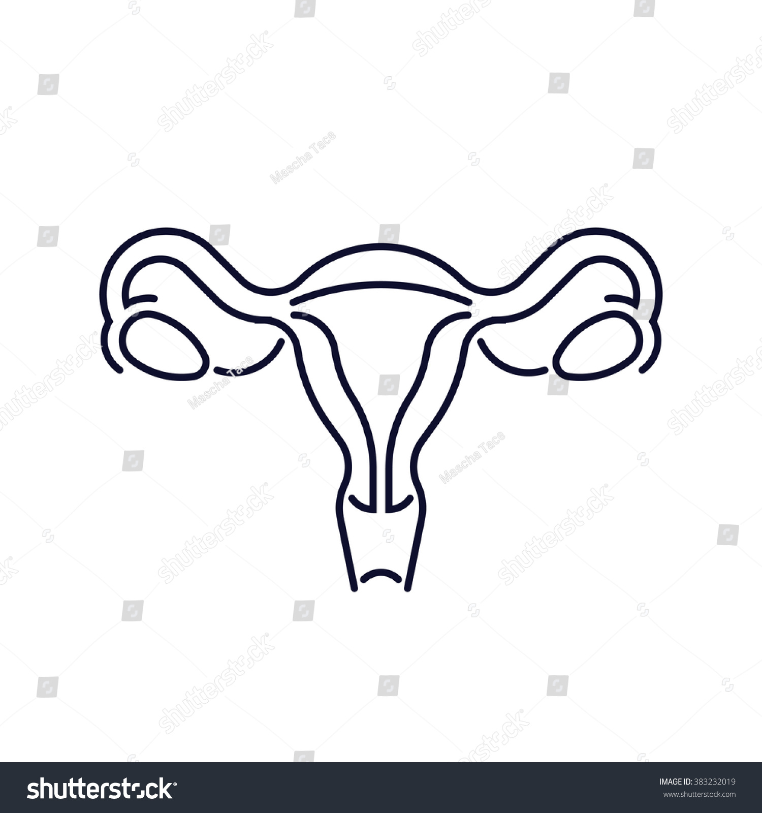 现代平线女性生殖系统矢量图标。子宫输卵管、