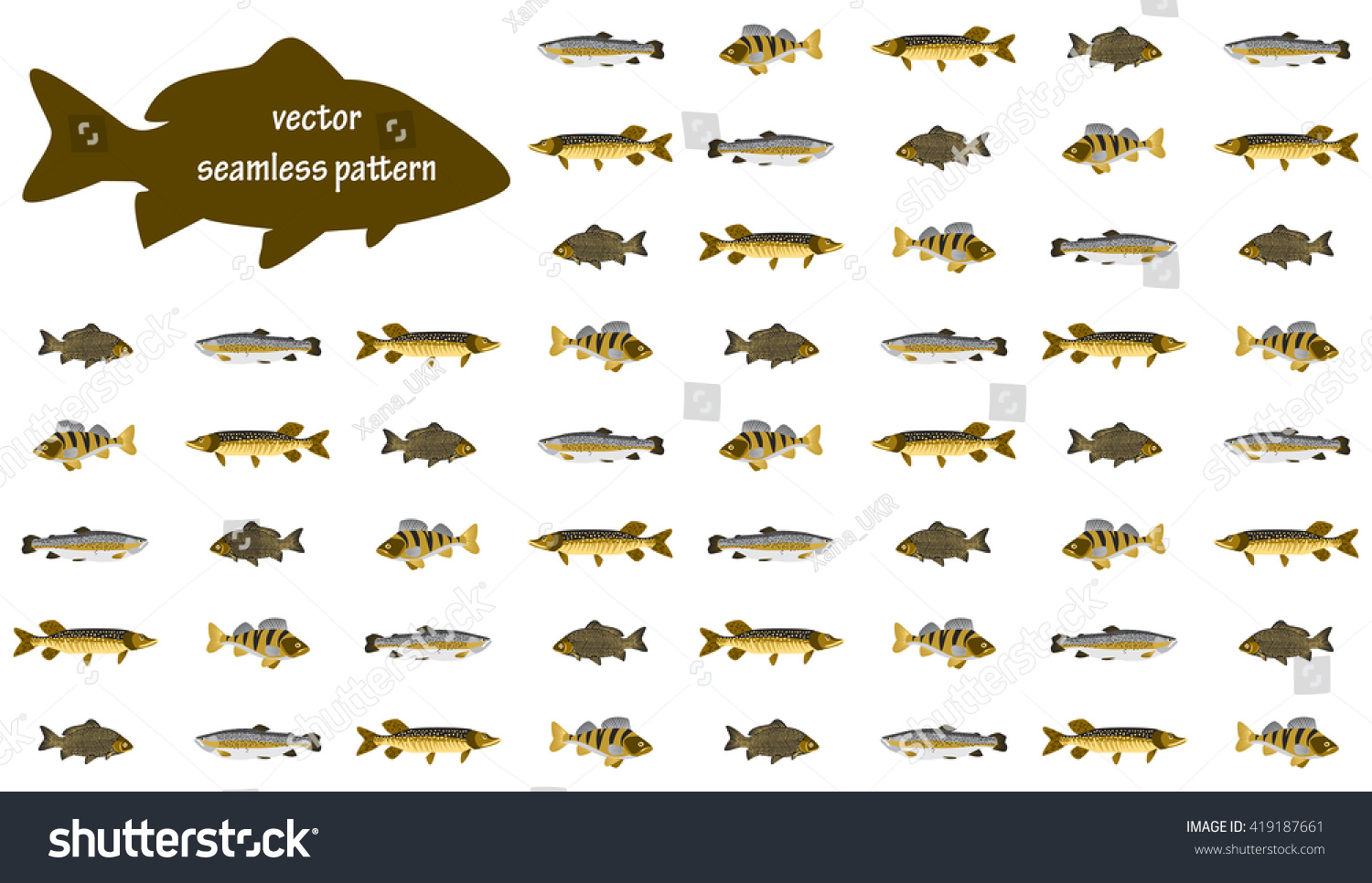 鱼无缝模式。鲑鱼鱼、虹鳟鱼,梭子鱼,鲤鱼,鲈鱼