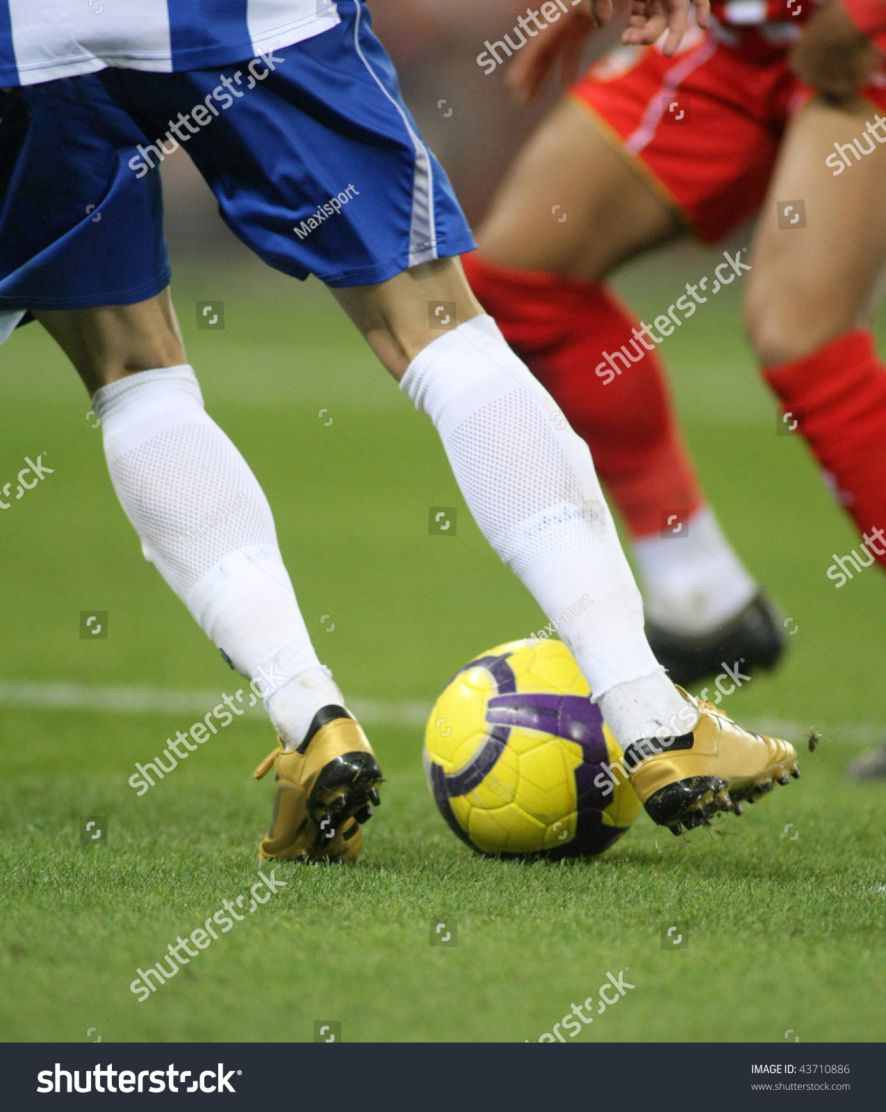 stock-photo-43710886.jpg