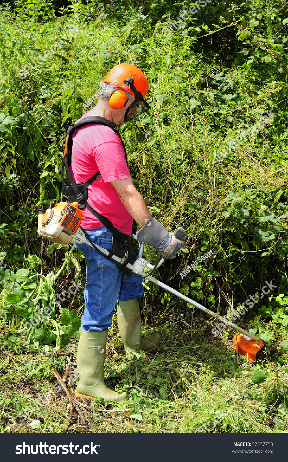 一个工人使用剪枝机减少灌木丛的丛林。对绿色