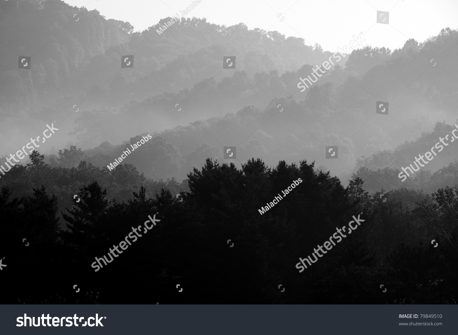 雾山日出,韦伯斯特县西维吉尼亚州,美国-自然,