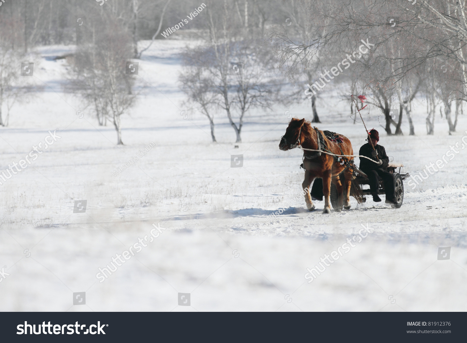 人骑一匹马教练在白色白雪皑皑的冬天-动物\/野