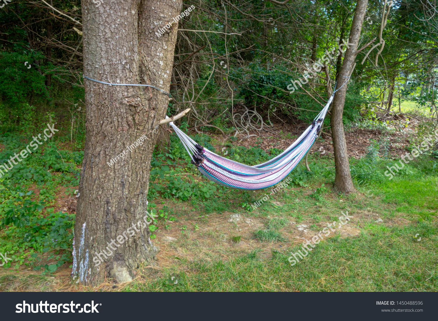 Backyard Hammock Hanging Off Two Trees Stock Photo Edit Now 1450488596