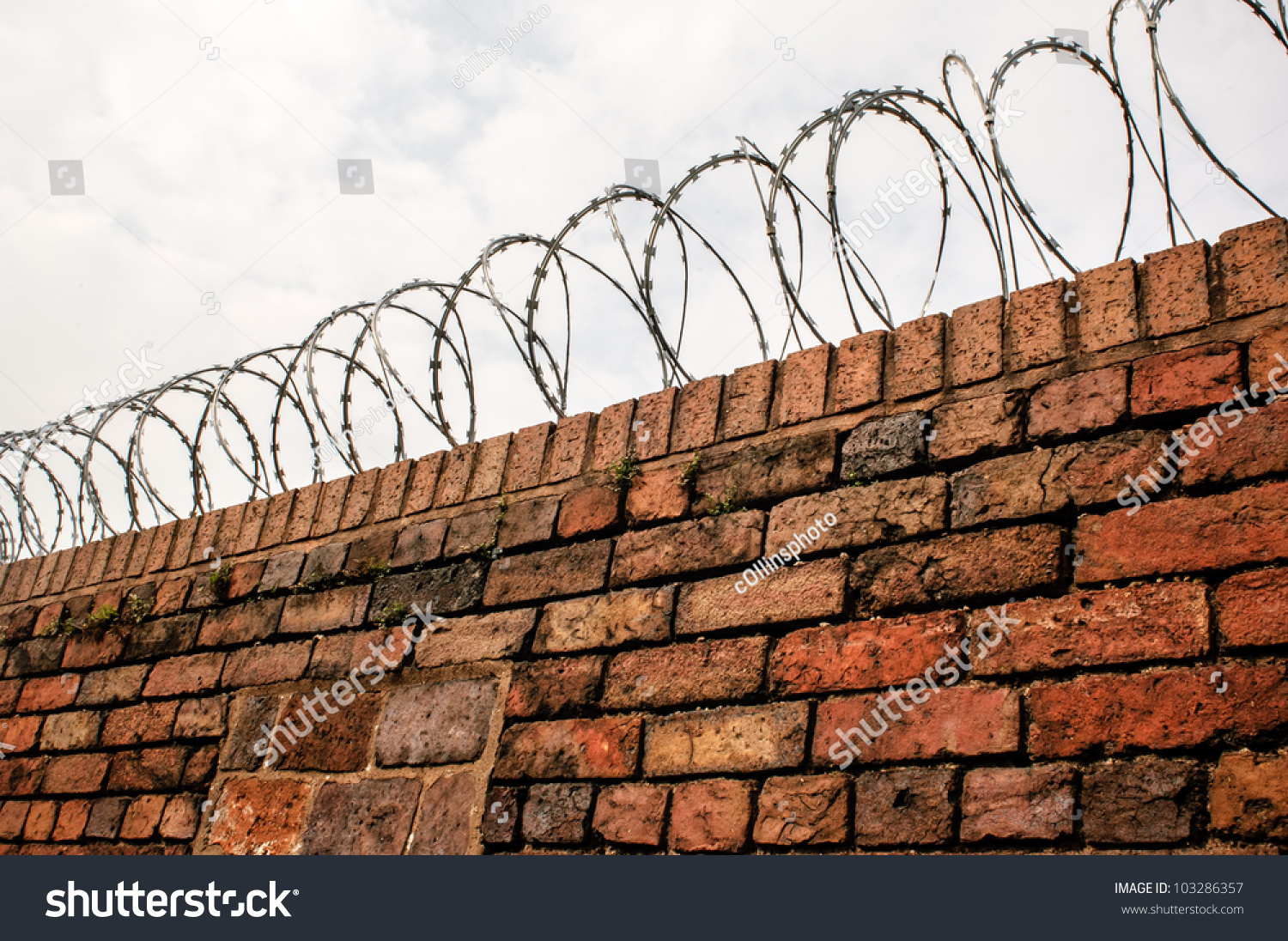 A Barbed Wire Coil Mounted On Top Of A Brick Wall