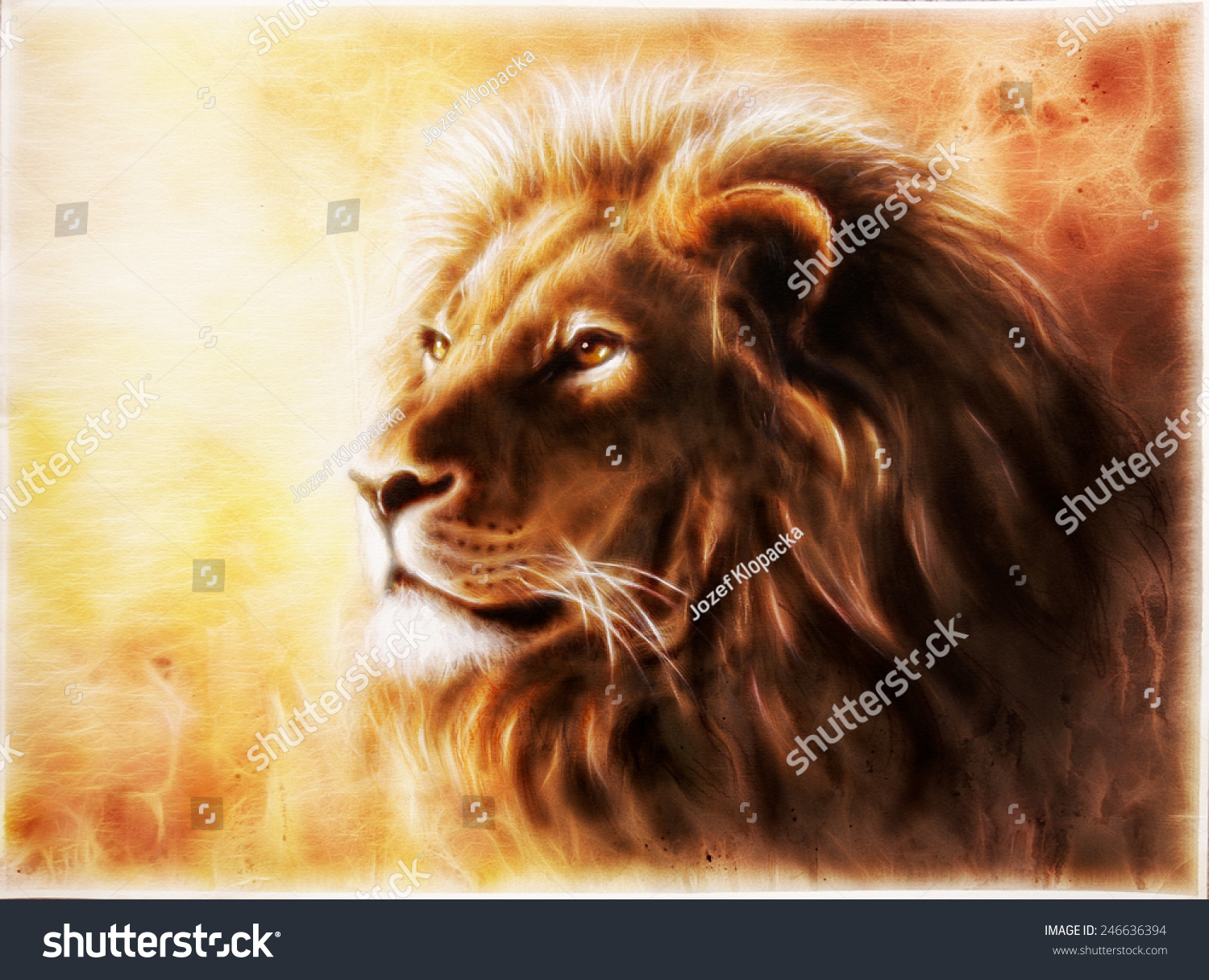 Beautiful Airbrush  Painting Lion  Head Majesticaly Stock 