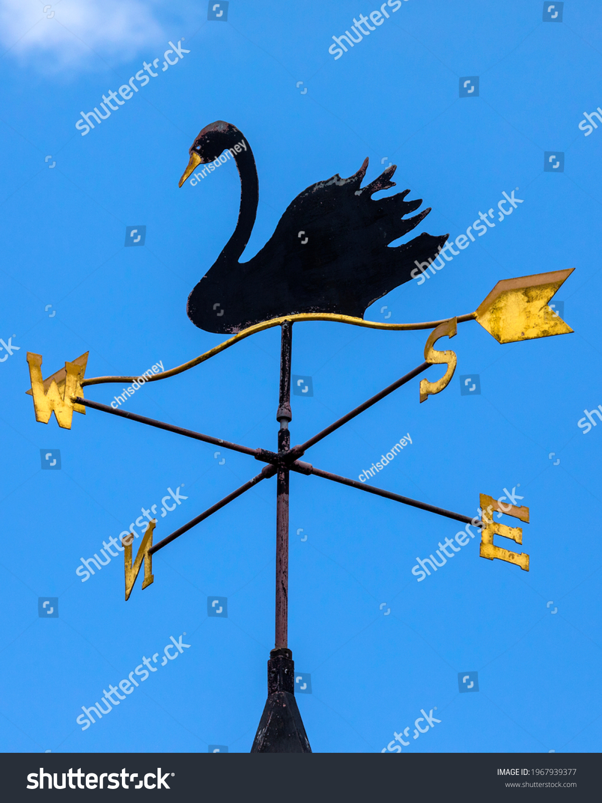 Shaded Stor vrangforestilling væv Black Swan Weather Vane On Top Stock Photo (Edit Now) 1967939377