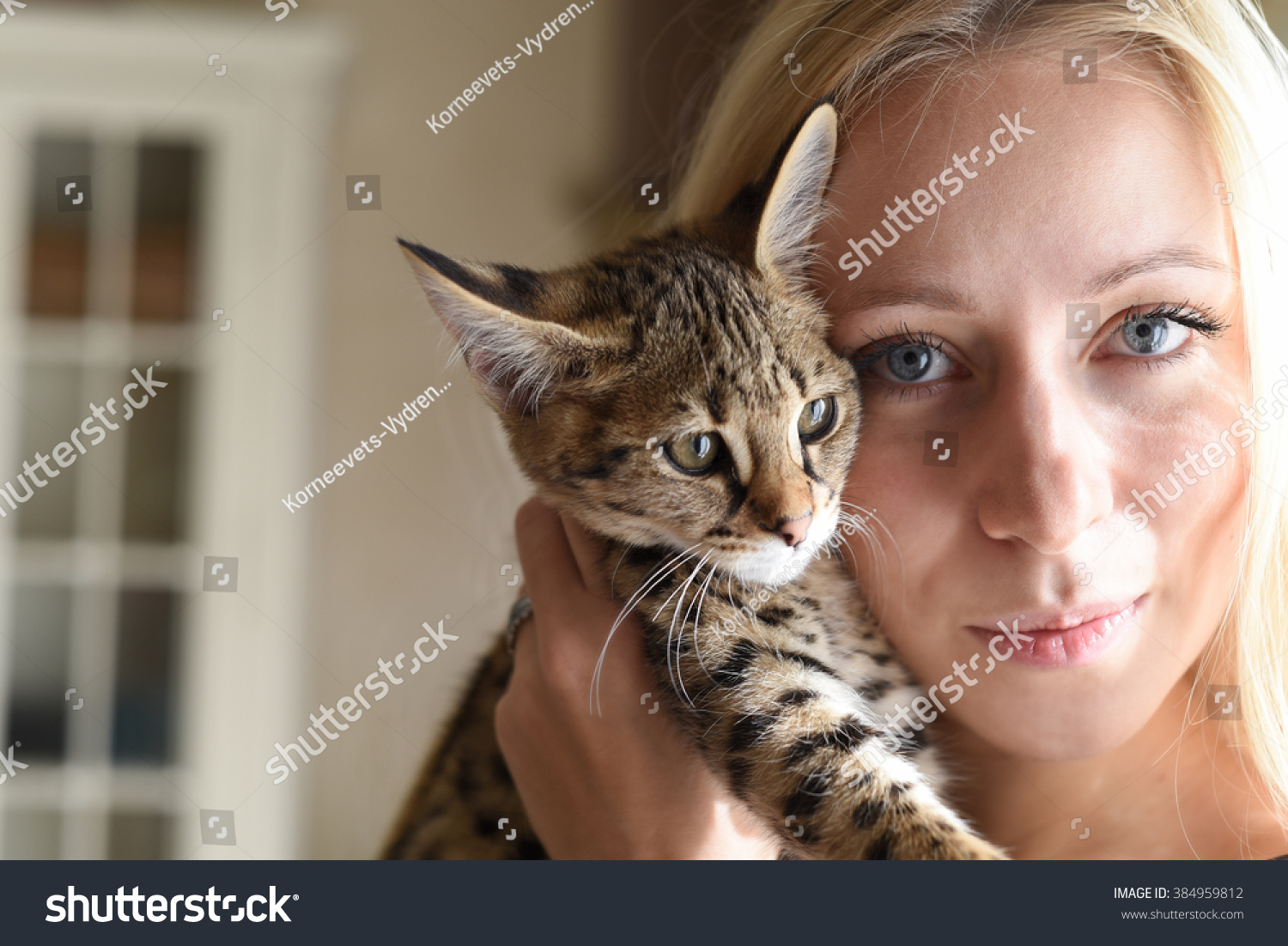 A Blond Blue Eyed Girl With Exclusive Savannah A1 Or Asher Cat In Studio With Baroque Style