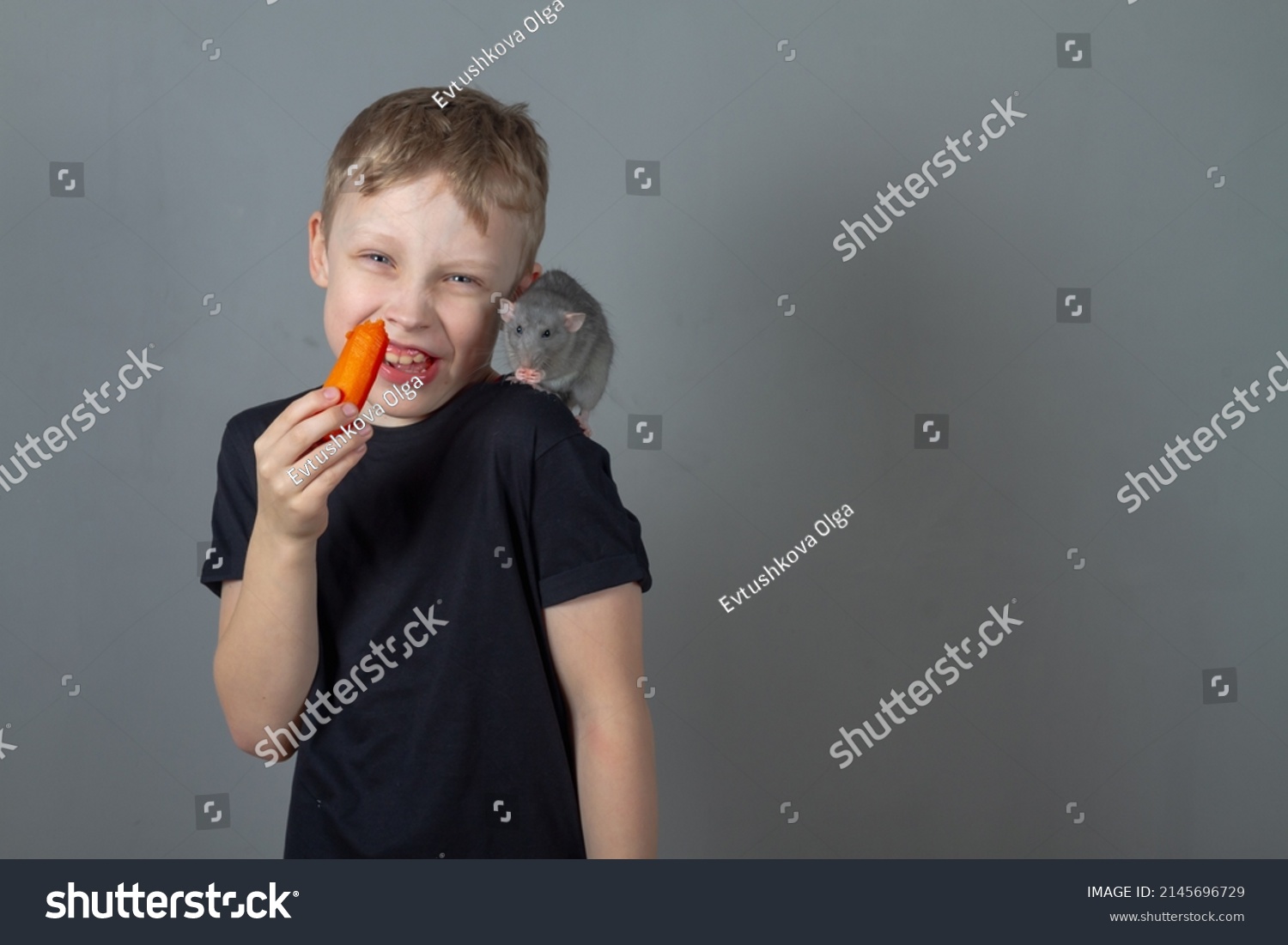 951 Blond rat Images, Stock Photos & Vectors | Shutterstock